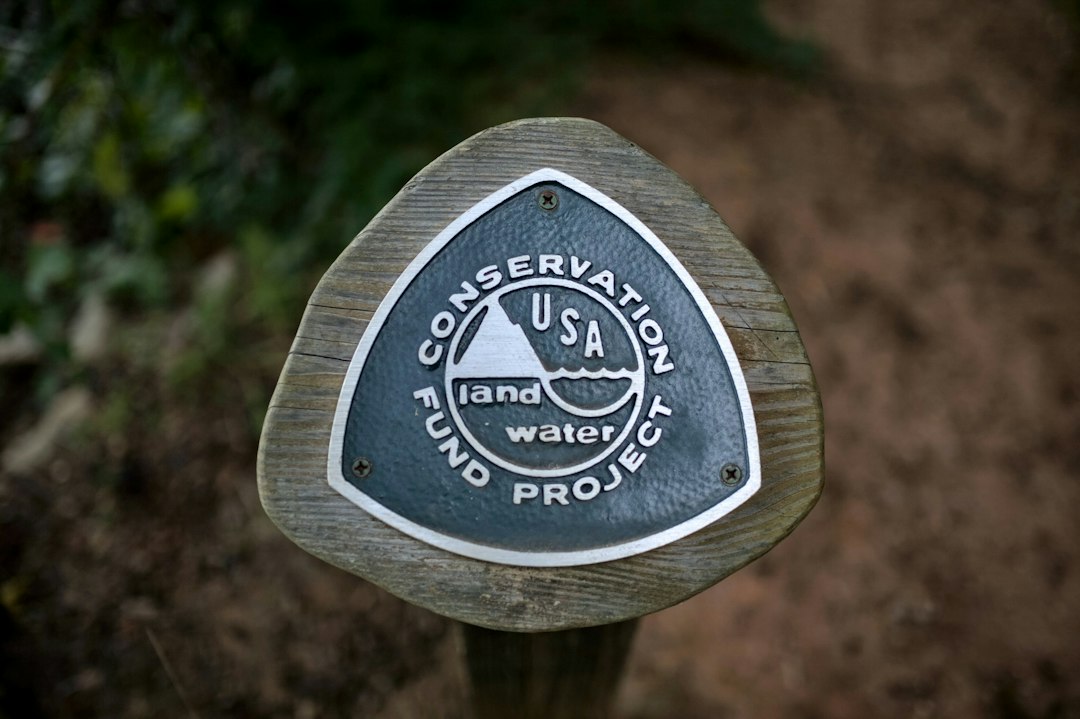 a close up of a sign