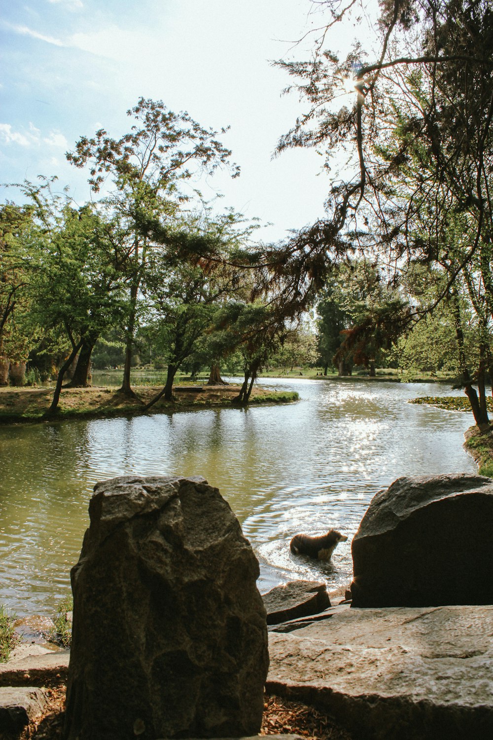 a body of water with rocks and trees around it