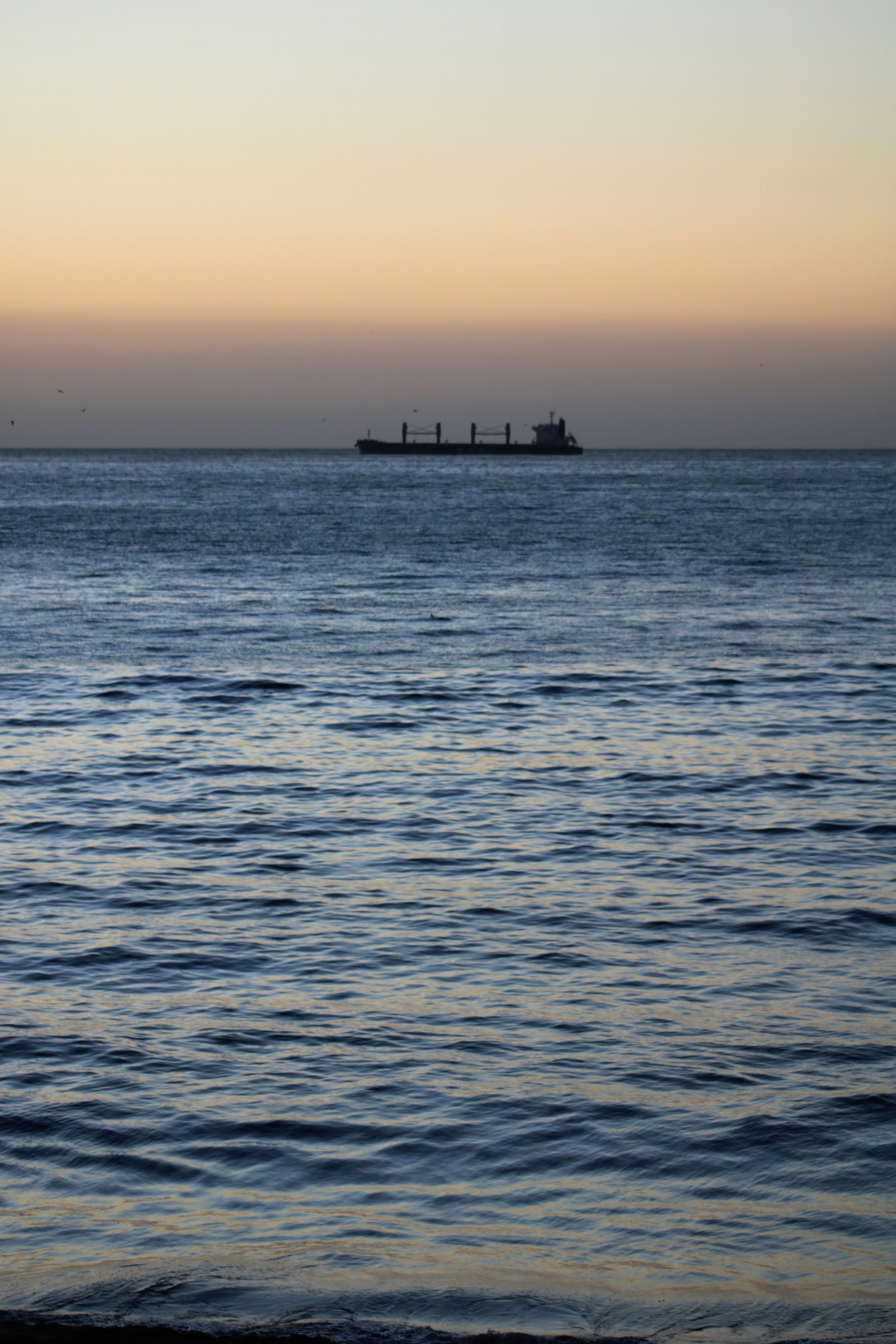 Photo by bastianfelipe