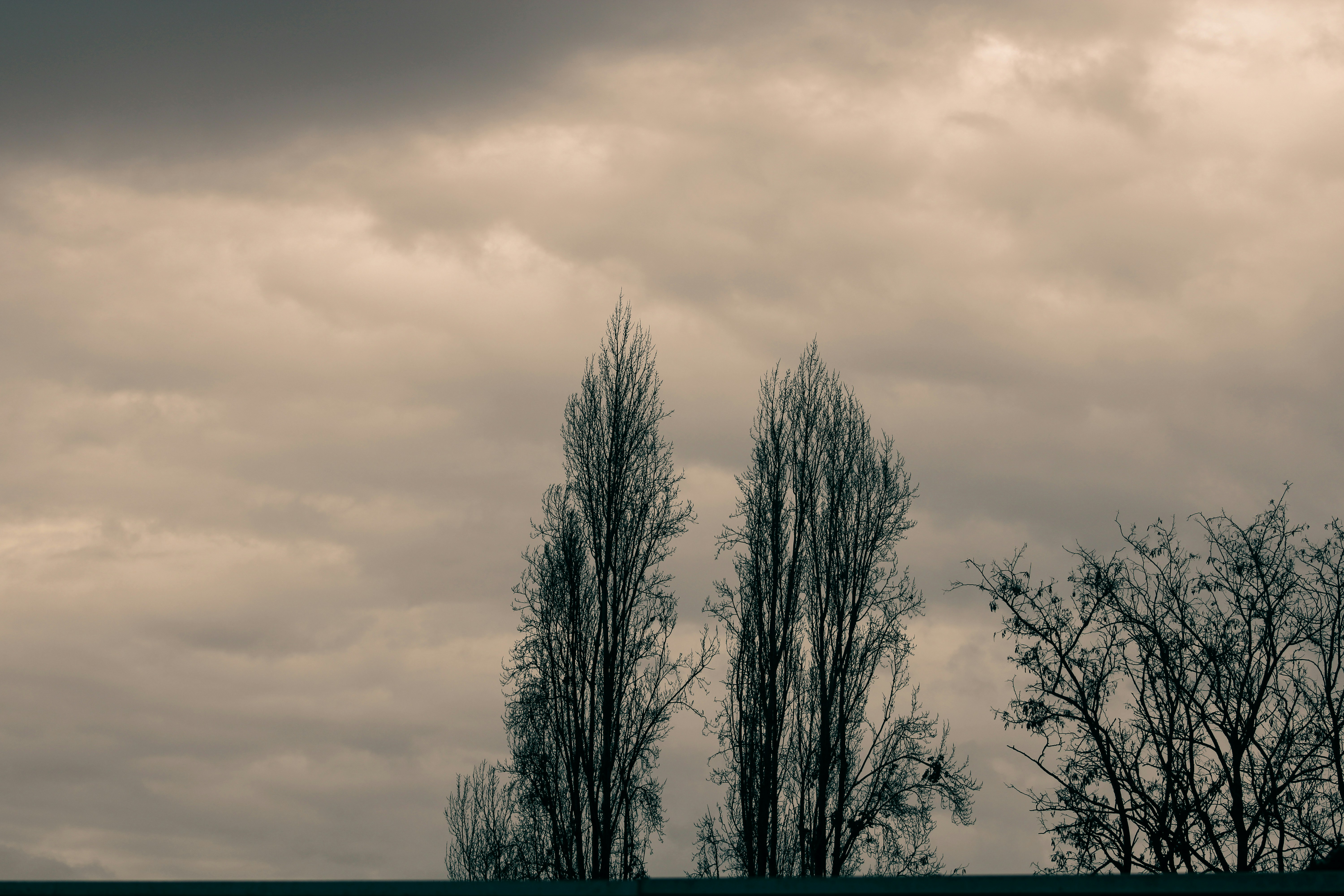 Photo by bastianfelipe