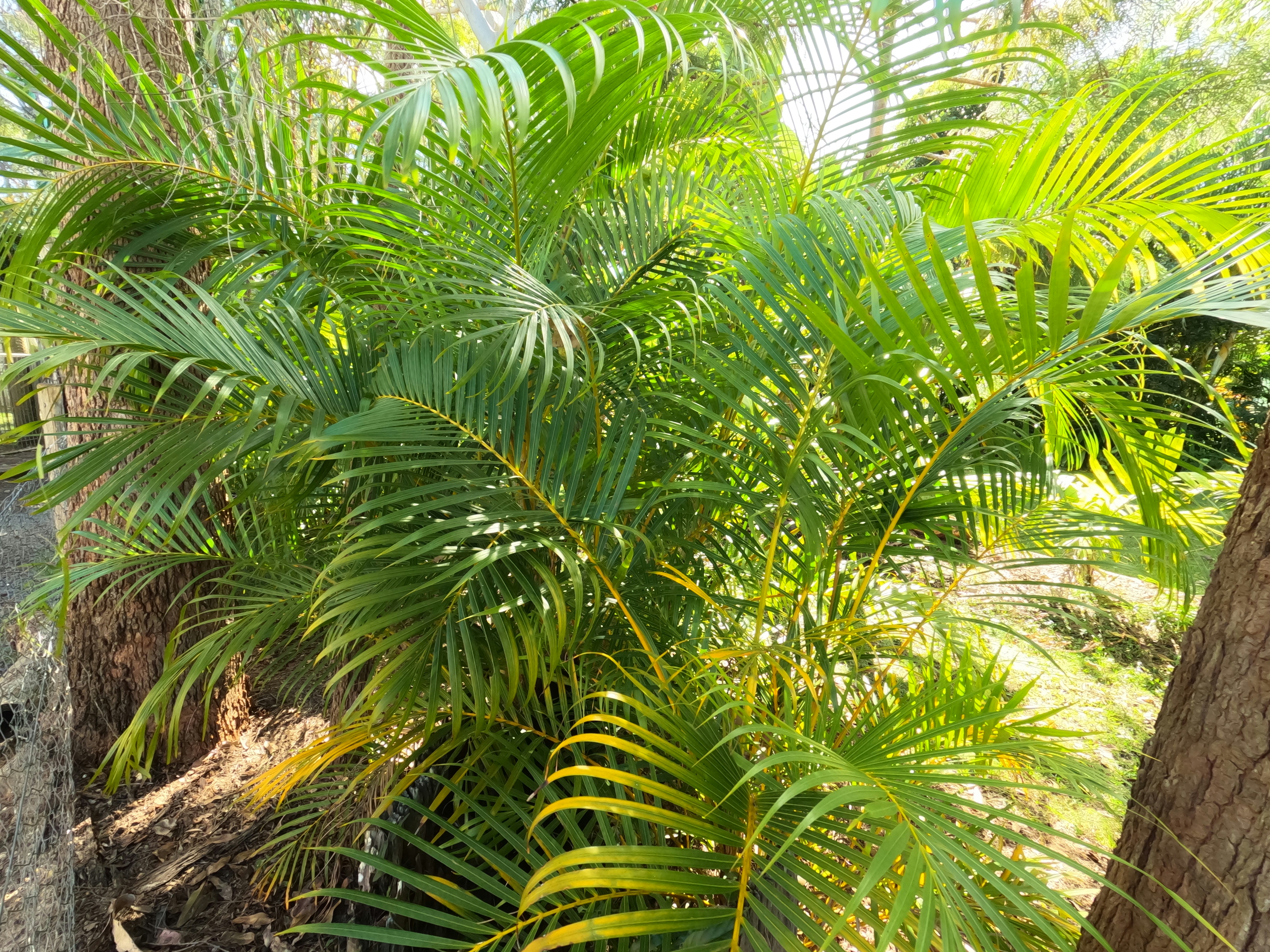 Photo by unsealmyname