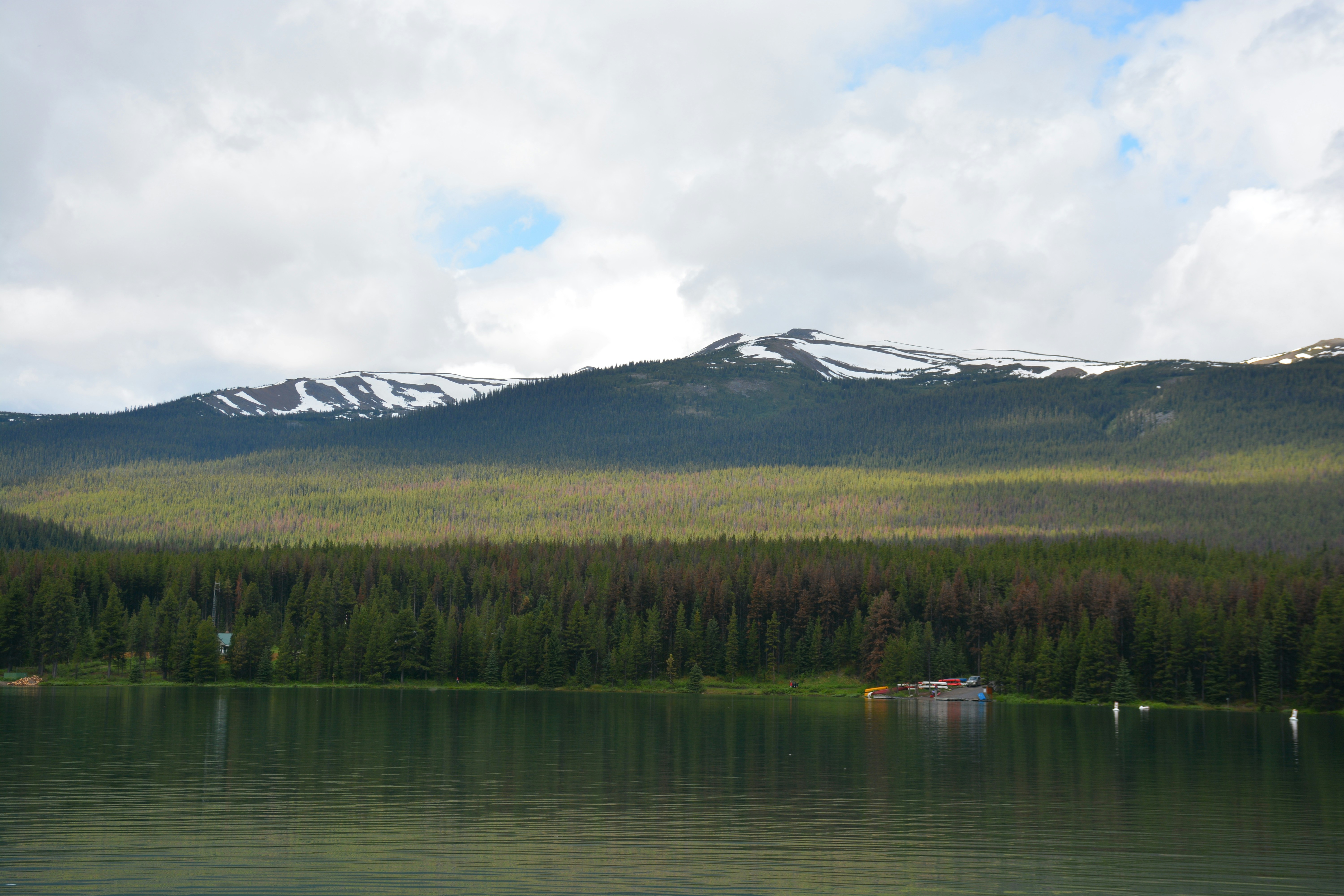 Photo by 19phototomato