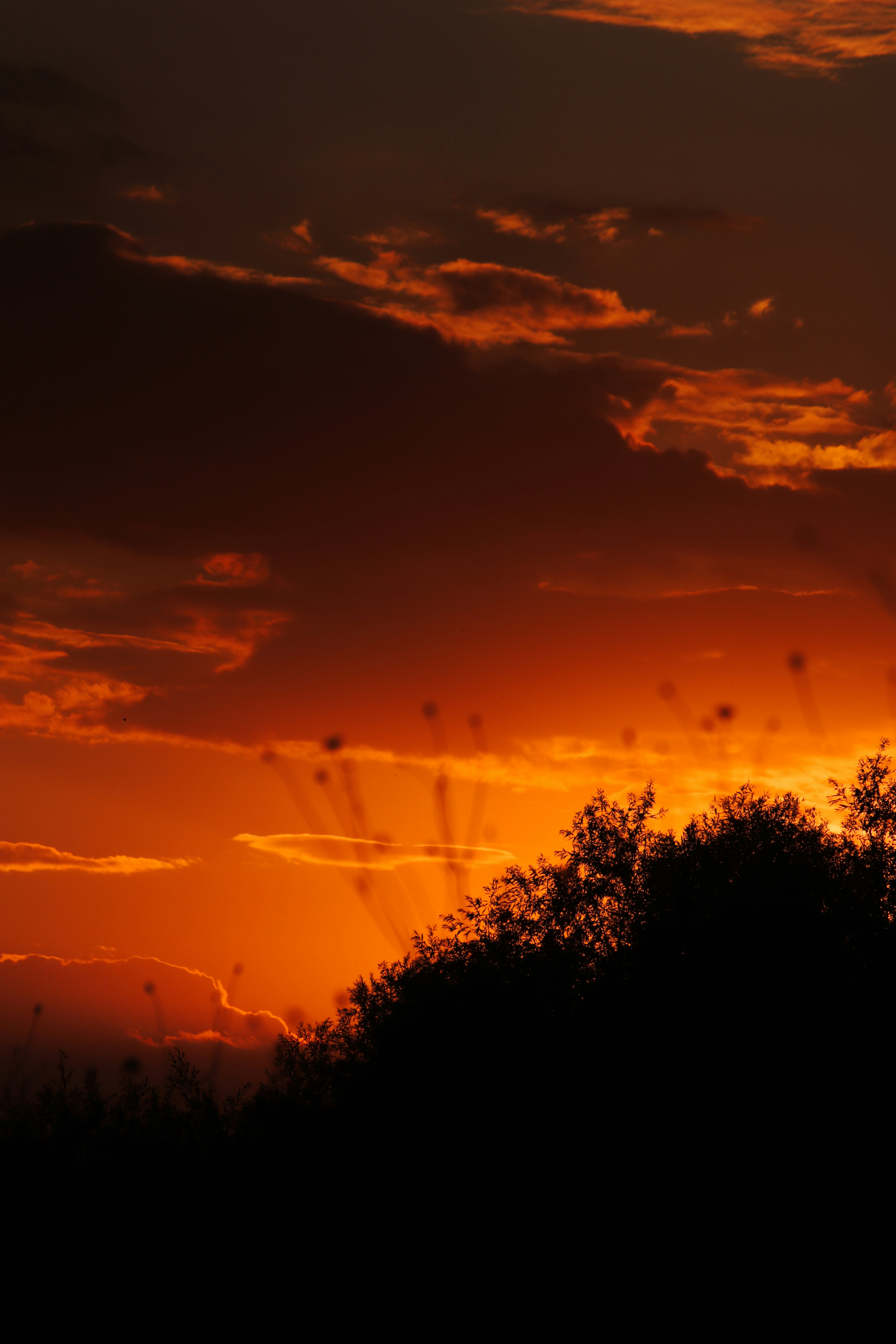Photo by davelz03