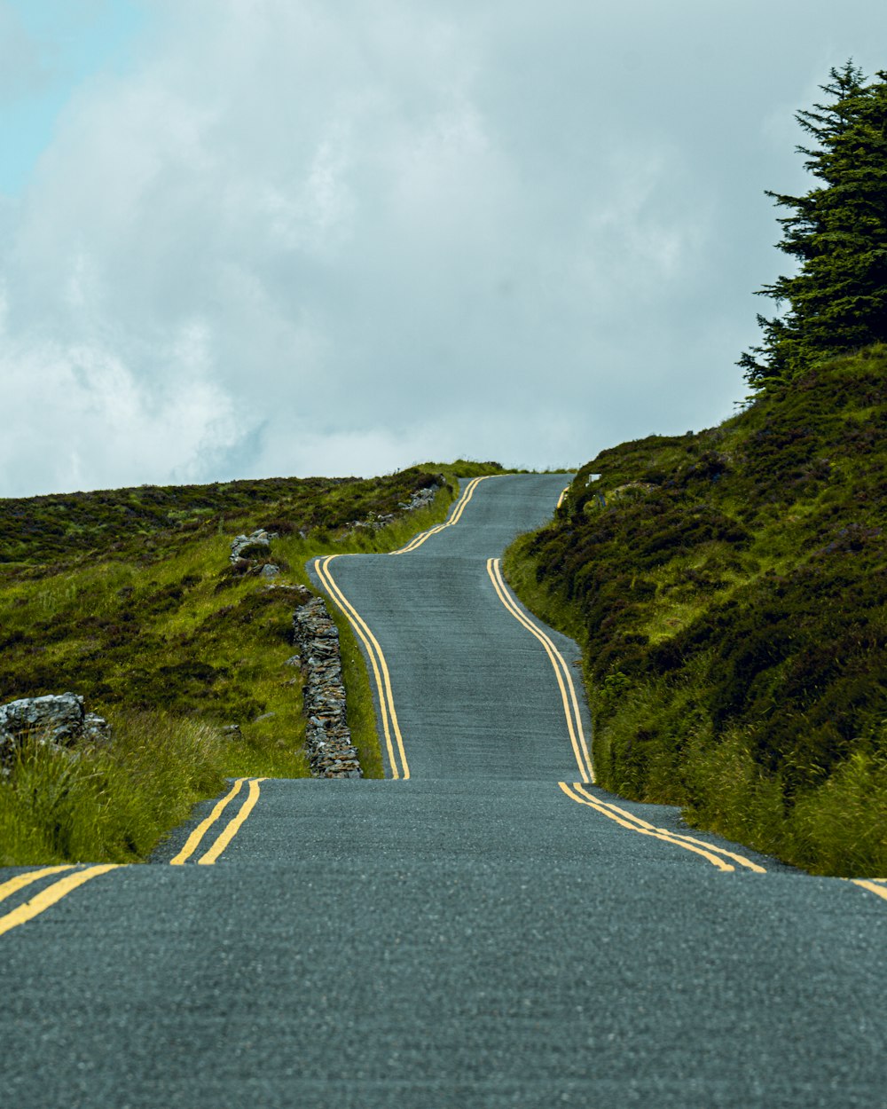 a road with trees on the side