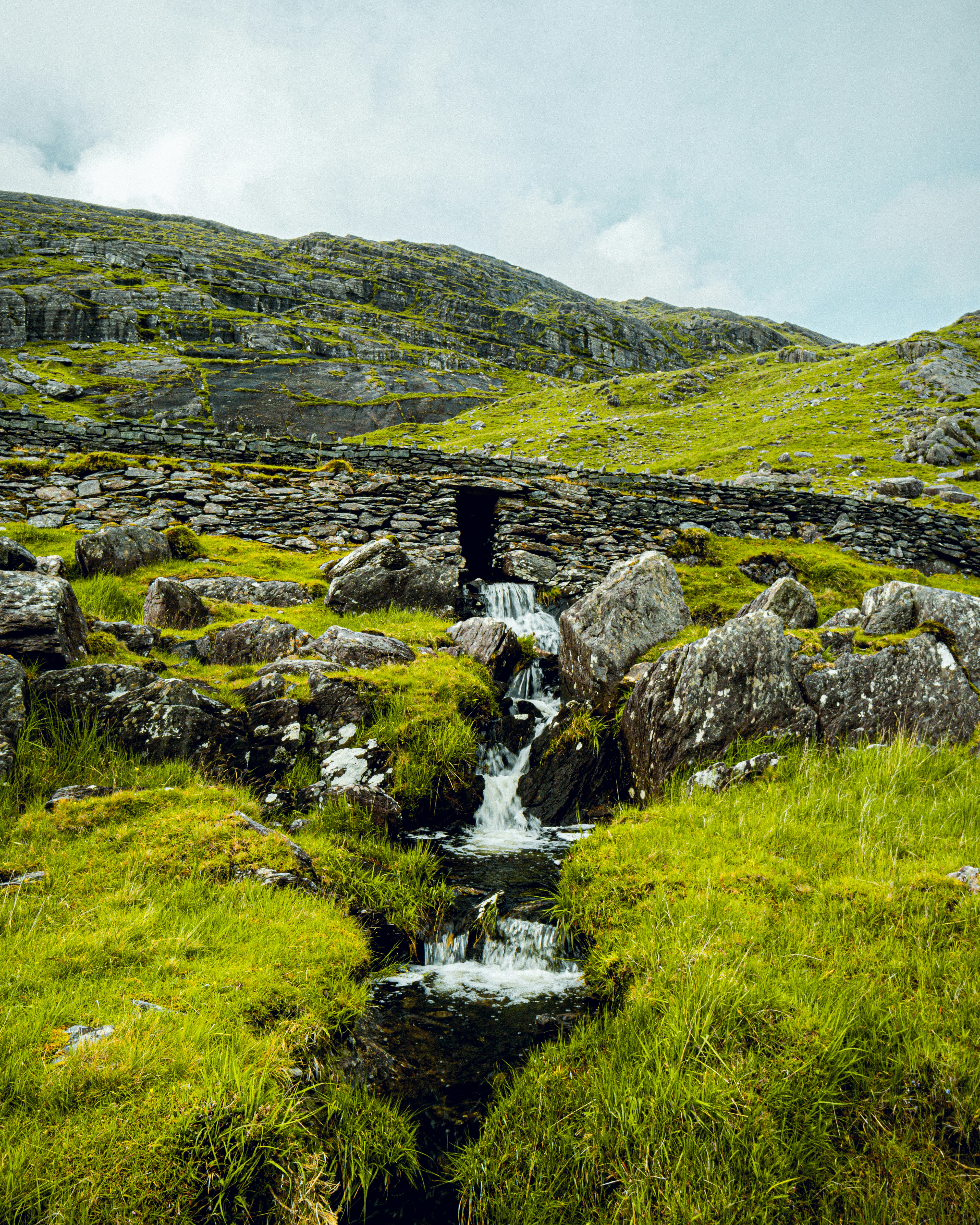 a stream of water flowing through a grassy area