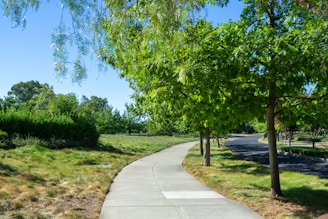 A serene landscaped pathway winding through lush greenery in the Domaine du Parc.