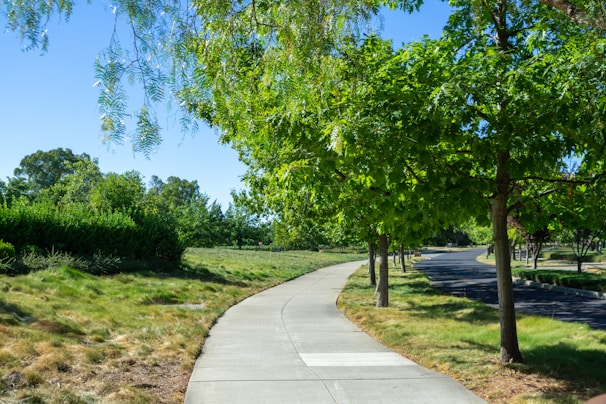 A serene landscaped pathway winding through lush greenery in the Domaine du Parc.