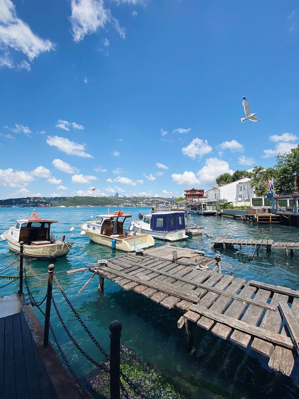 boats in the water