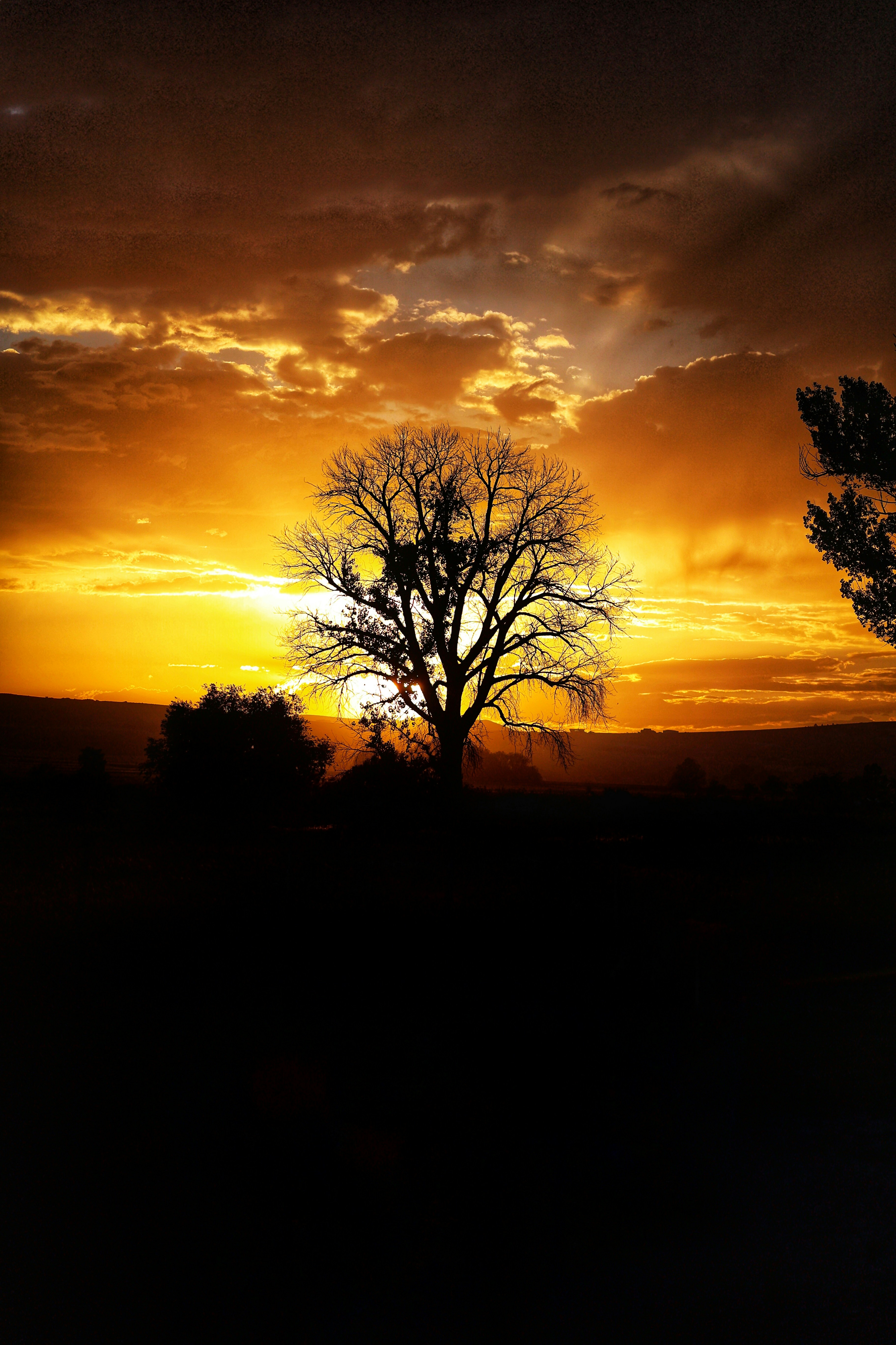 Photo by joshua_hoehne