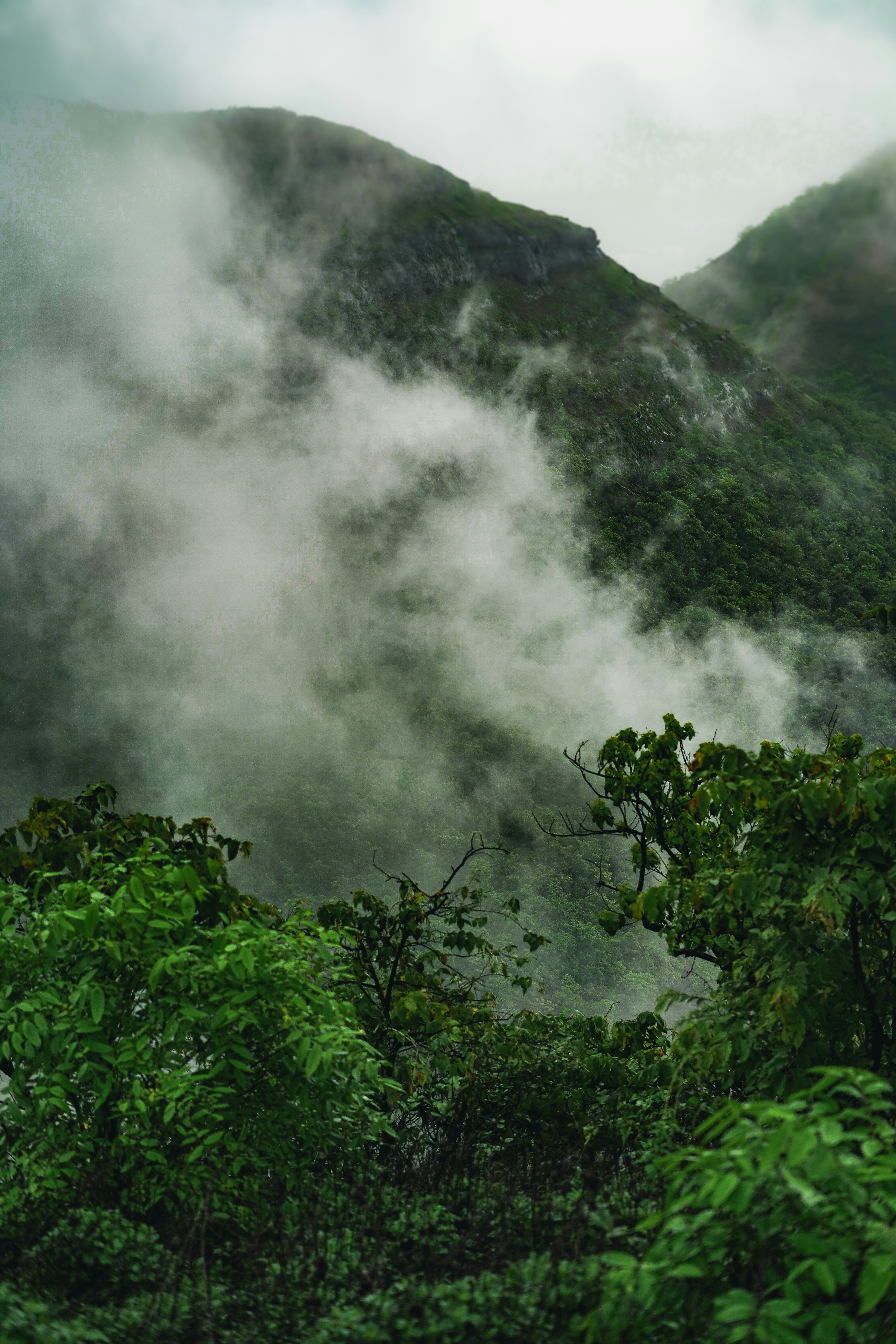 Photo by shyammishra94