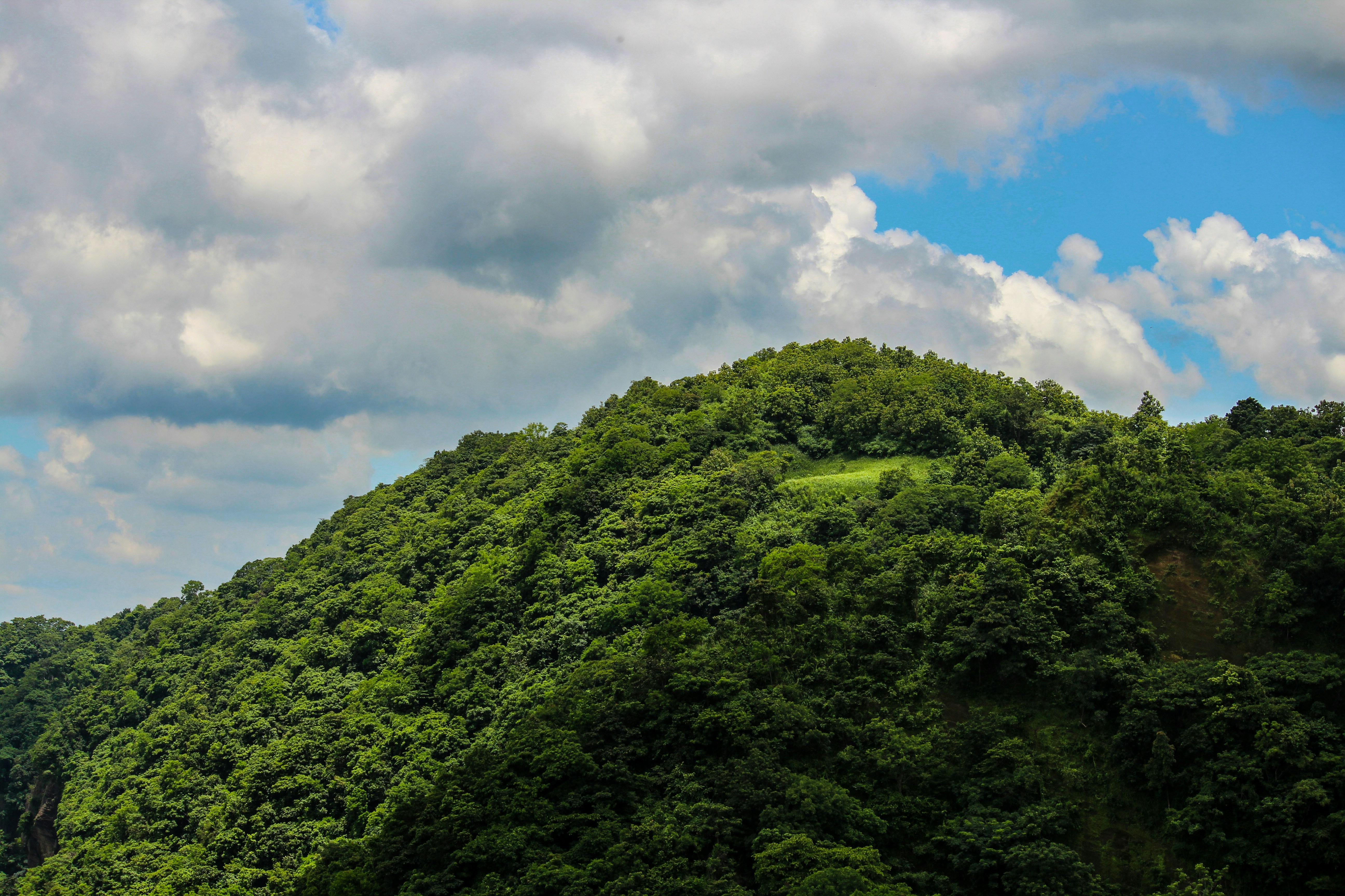 Photo by creativepoka