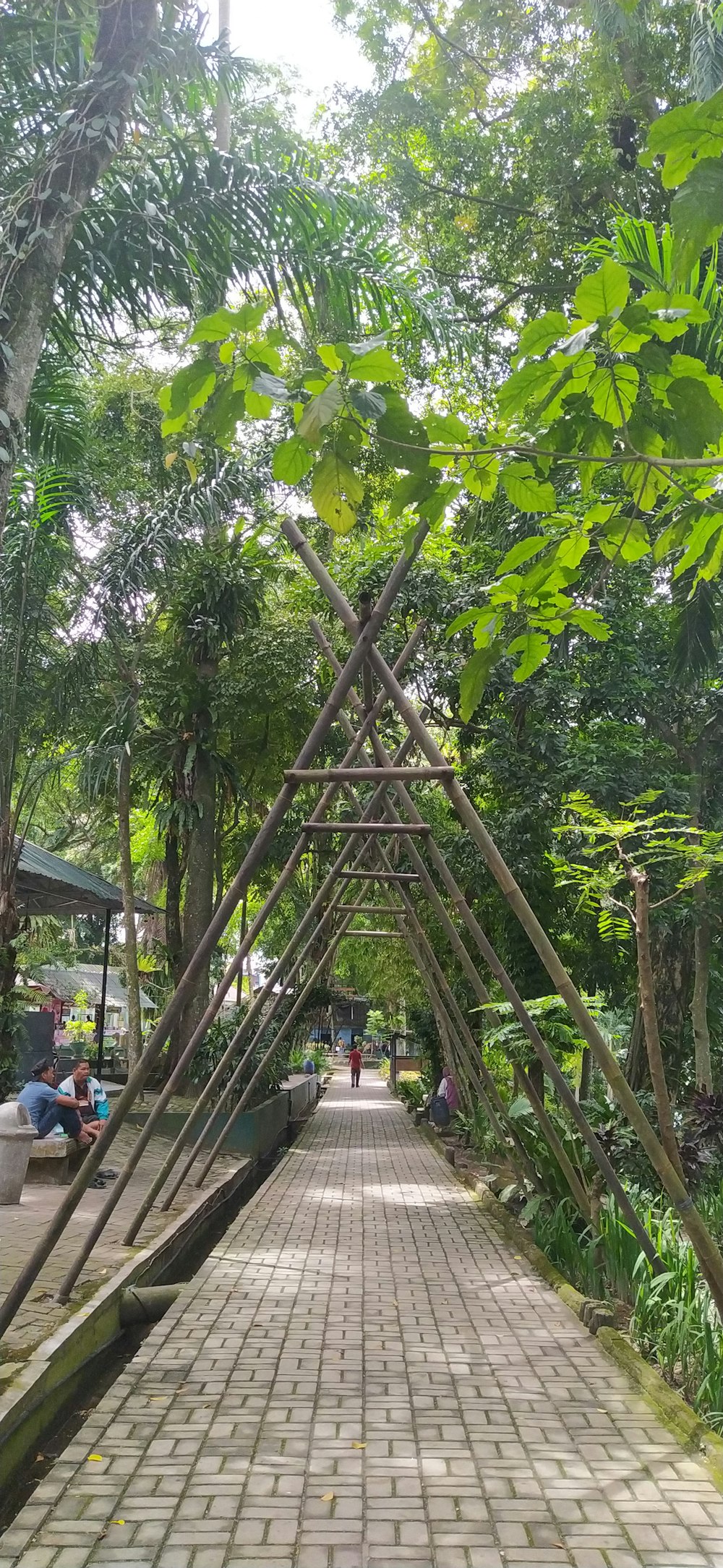 a walkway with trees on either side