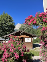 Bright flowers blooming near a cozy animal shelter cabin.
