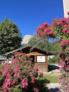 Bright flowers blooming near a cozy animal shelter cabin.
