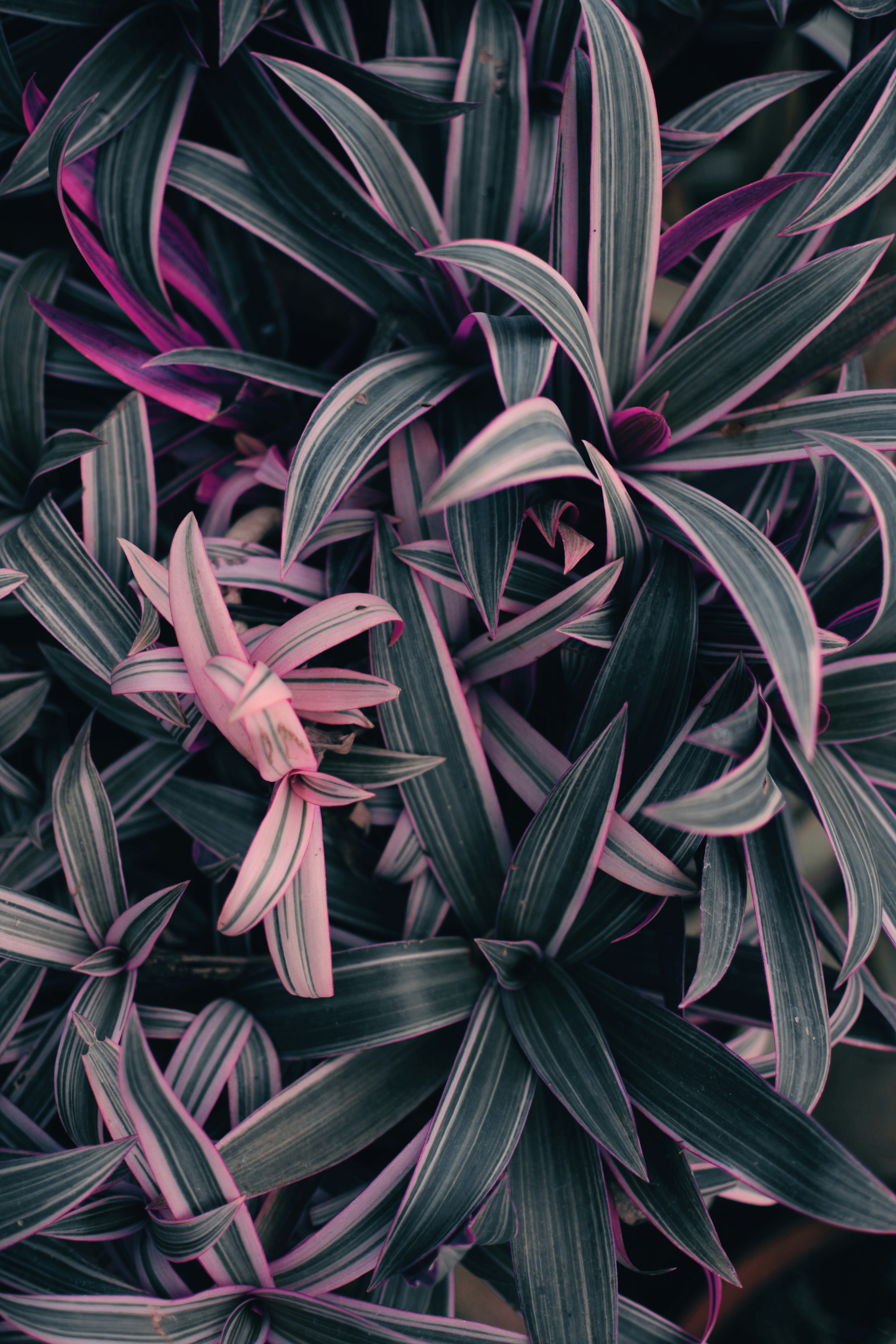 Photo by budihalsuhas1997