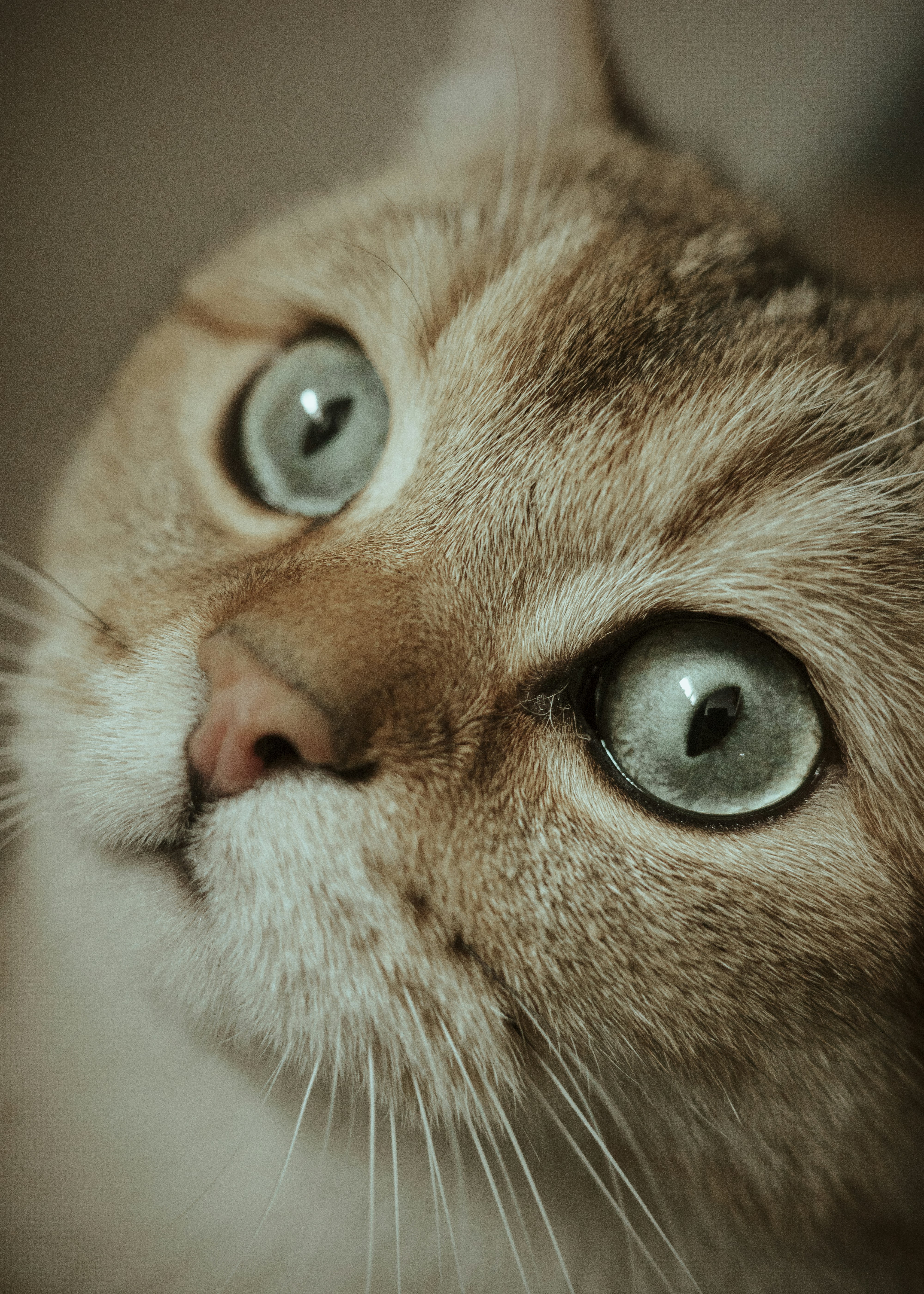 Photo by dynamicwang