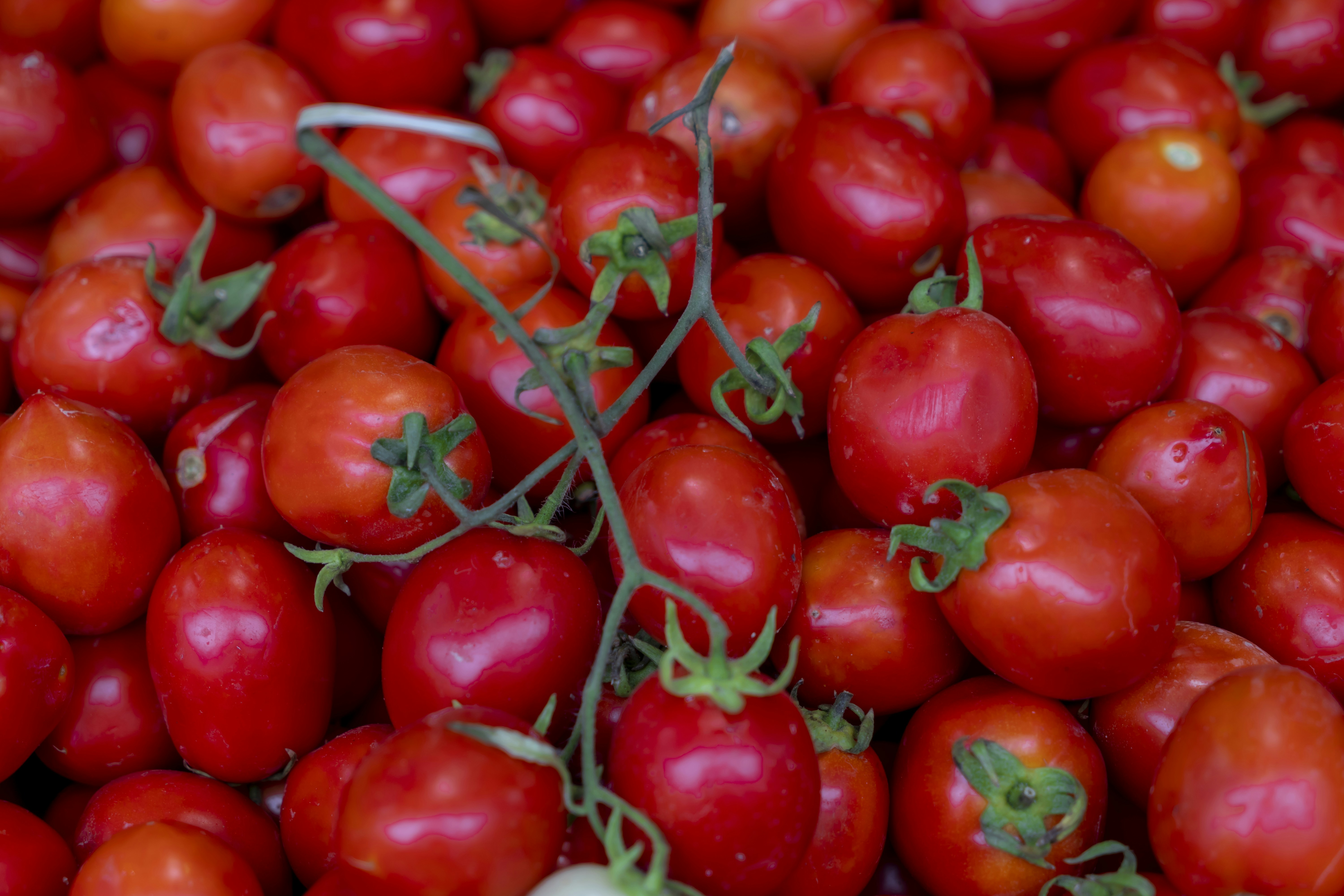 Photo by akbarnemati