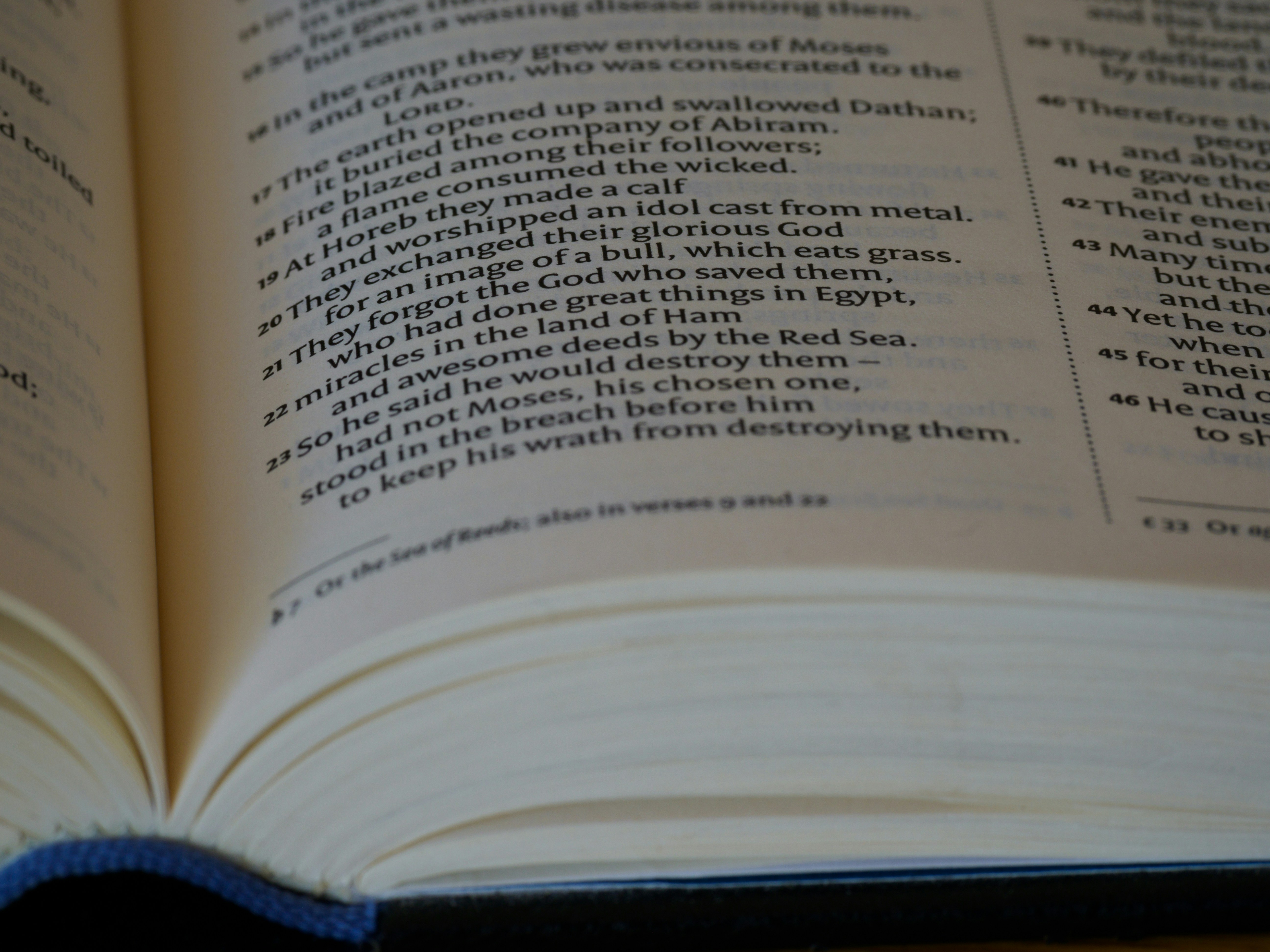 Photo by brett_jordan