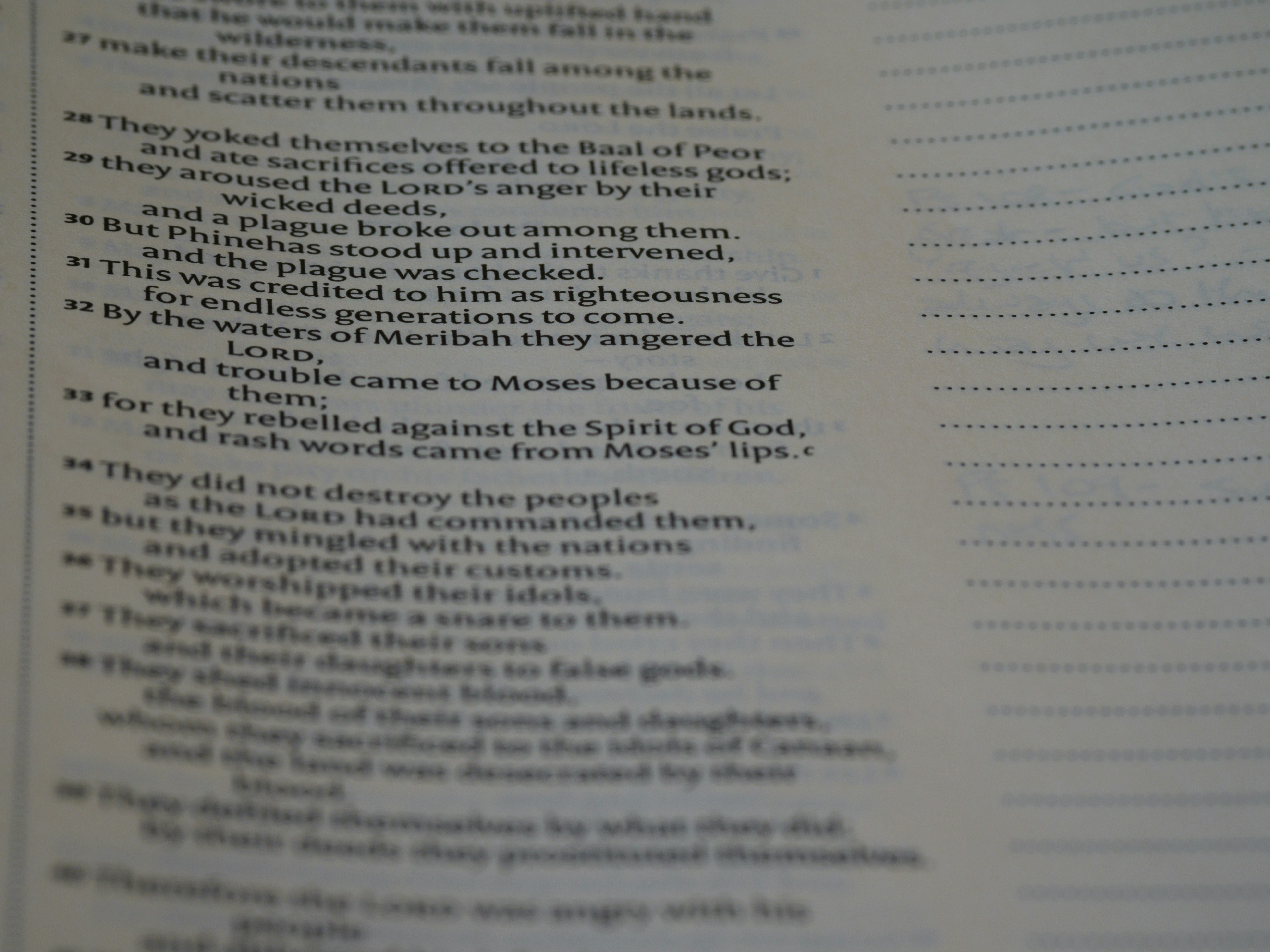 Photo by brett_jordan