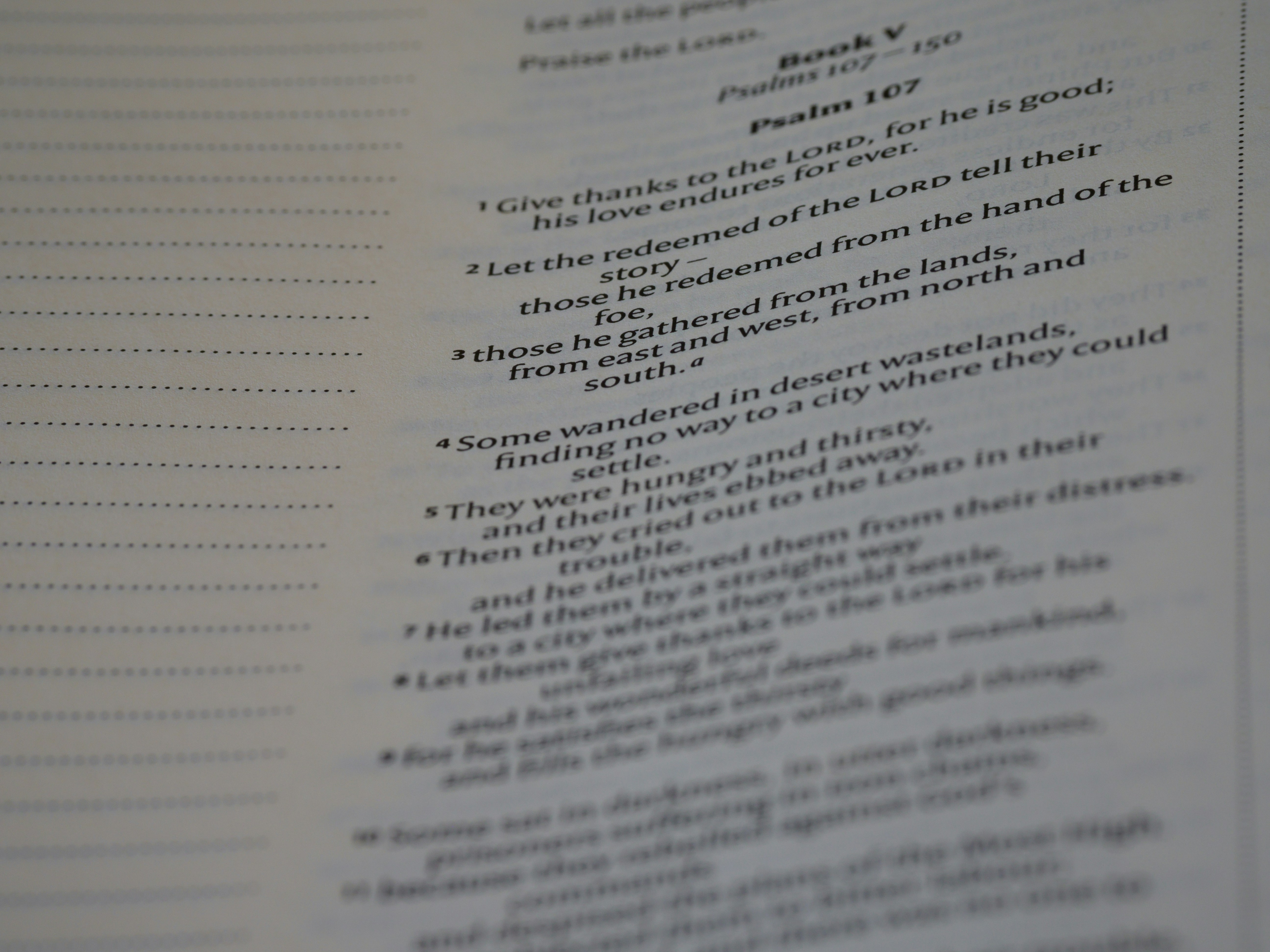 Photo by brett_jordan