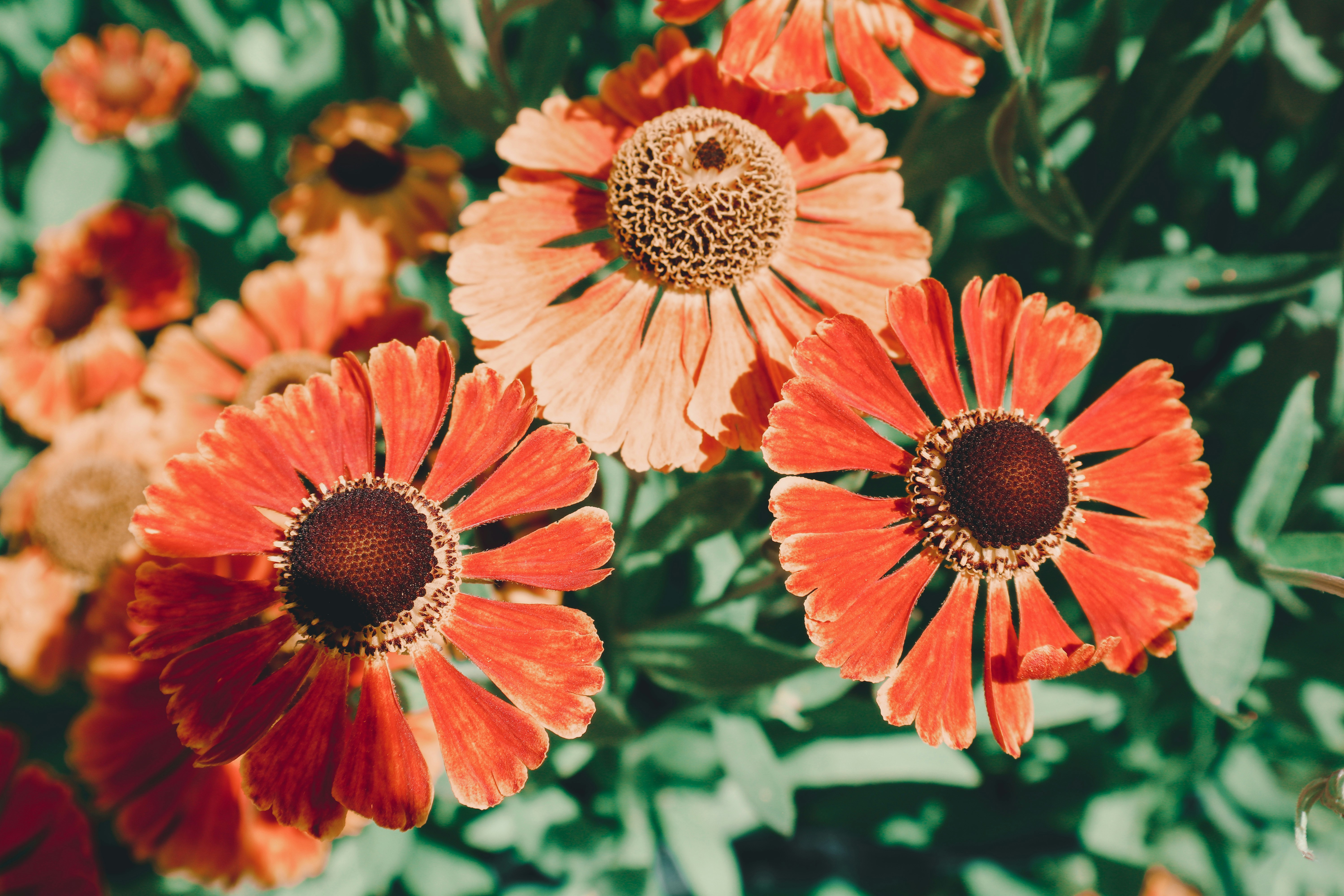 Photo by leakatharinafr