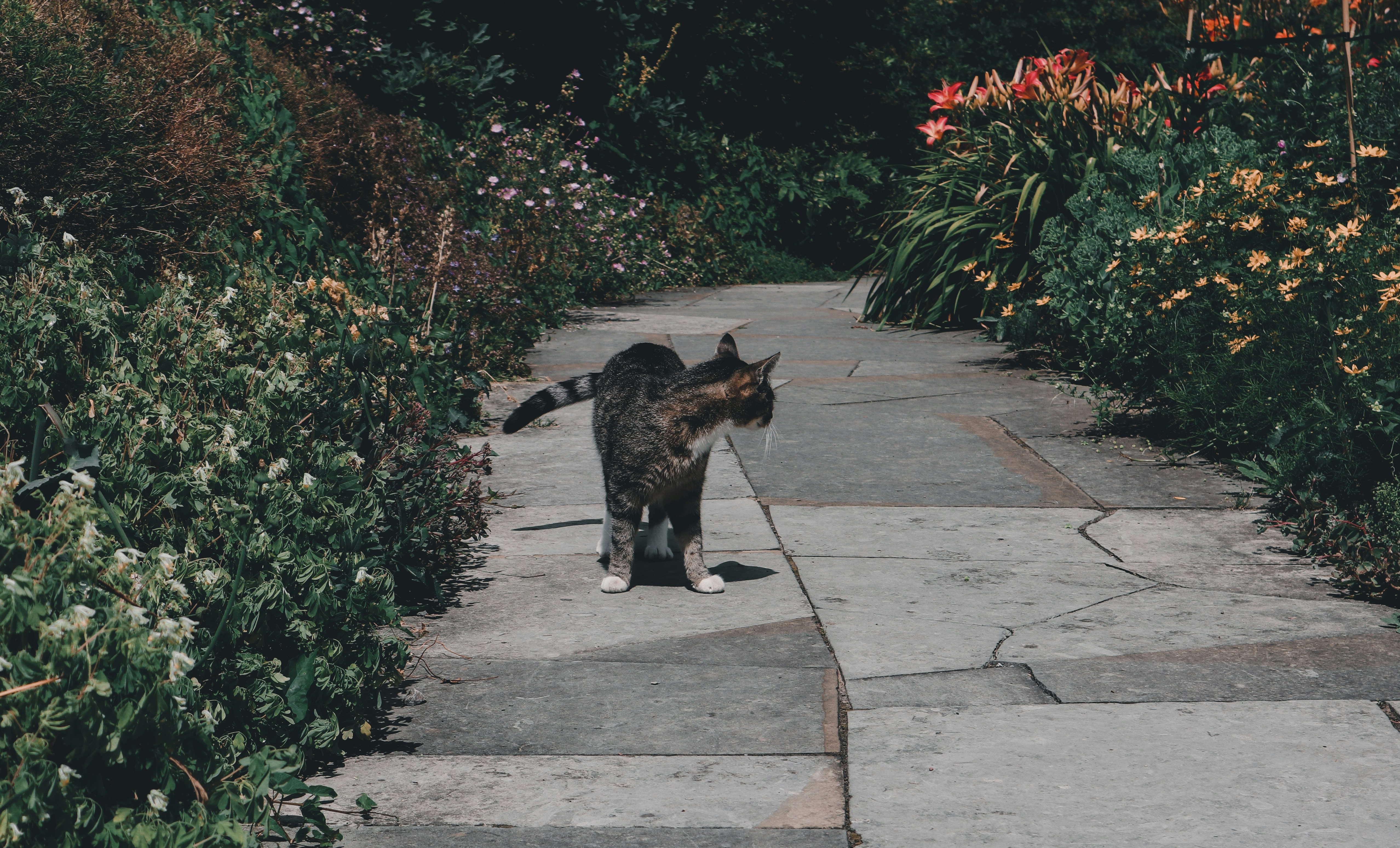 Photo by leakatharinafr