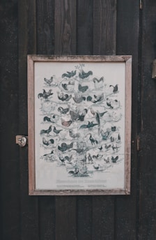 Illustration of poultry farming with digital icons and chickens