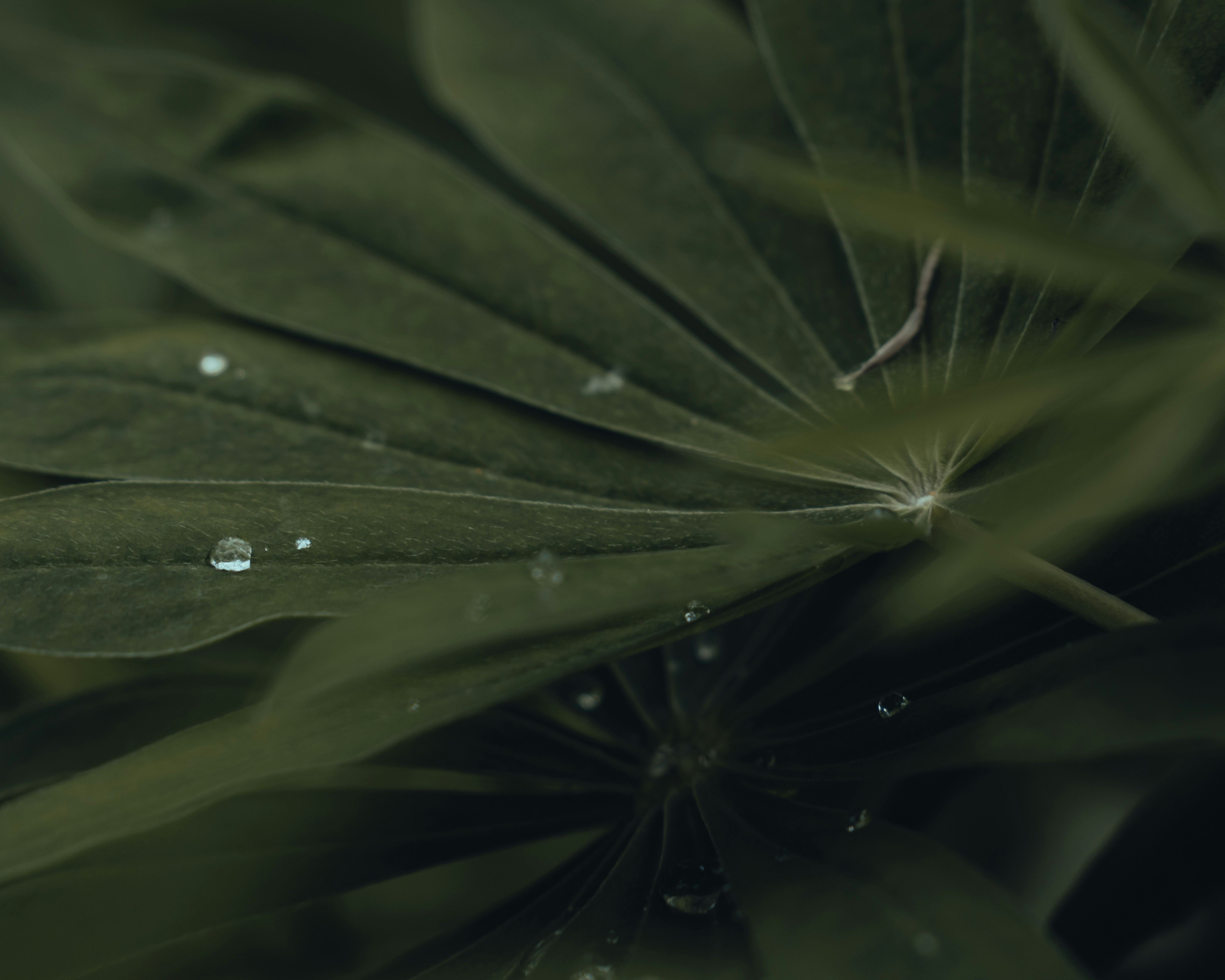 Photo by michielannaert