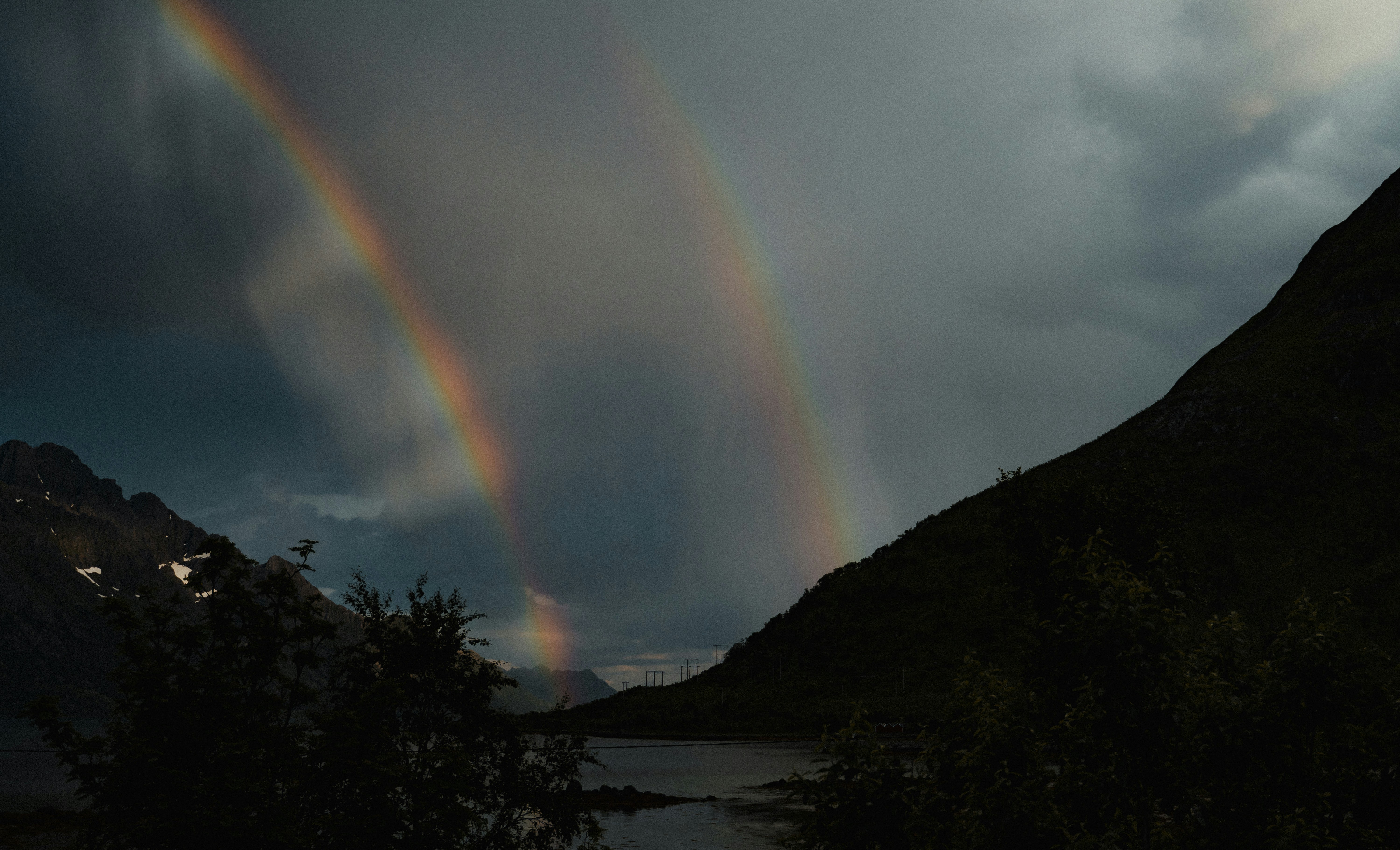 Photo by michielannaert