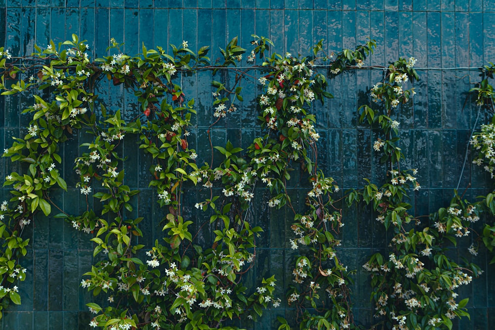 a green fence with a plant growing on it