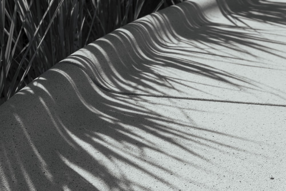 a close up of a person's shadow