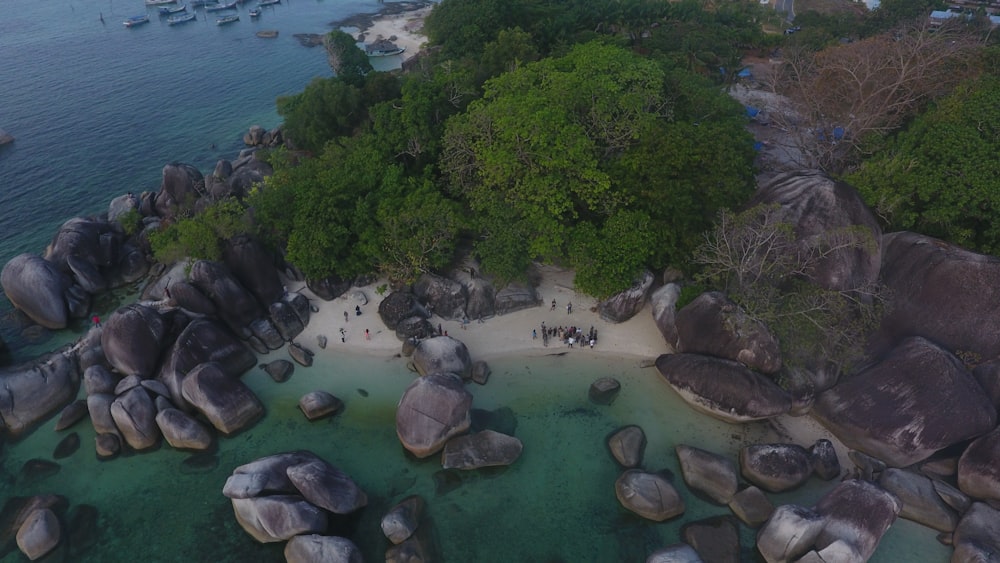 a group of rocks by a body of water