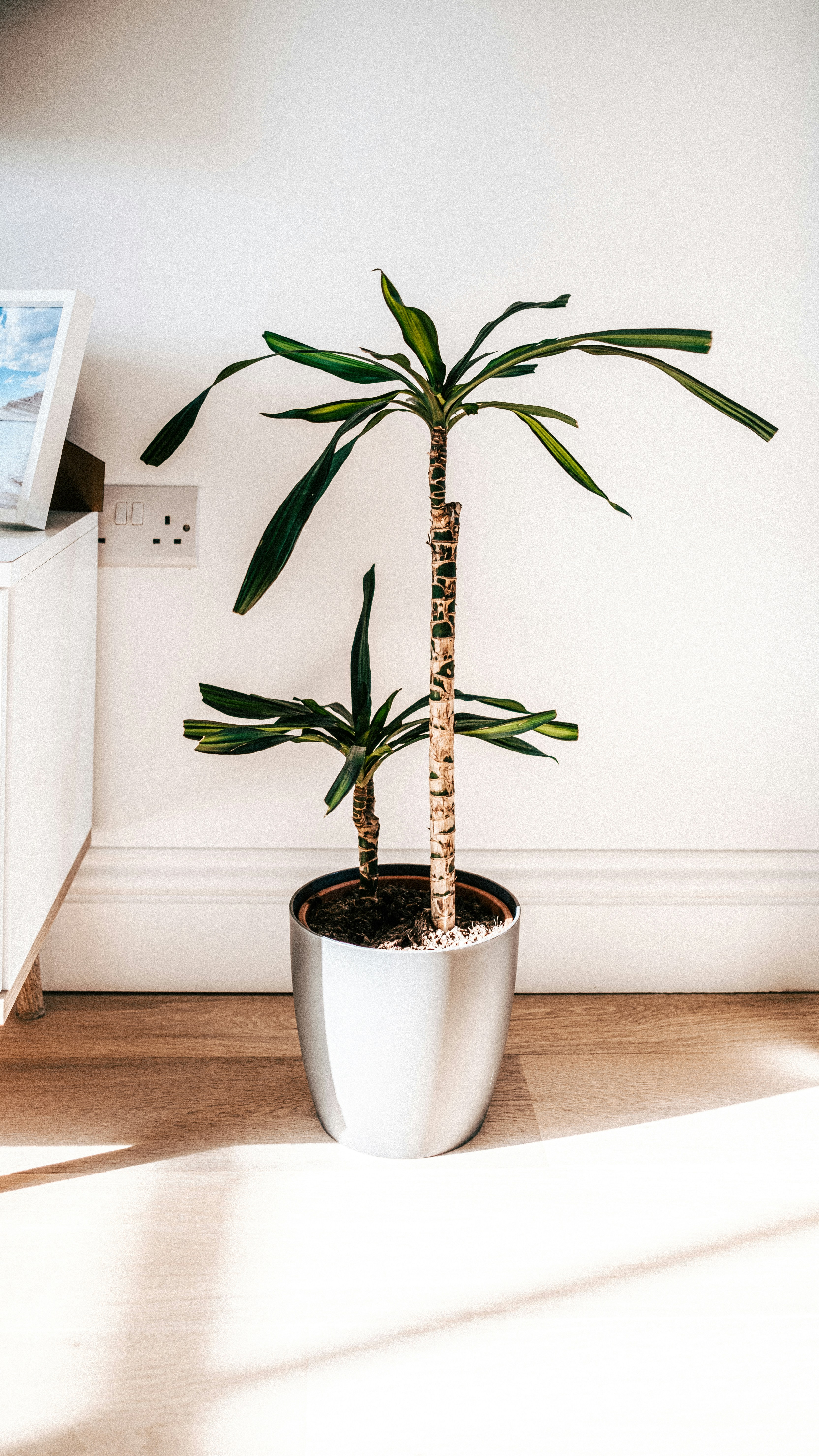 Photo by reganography