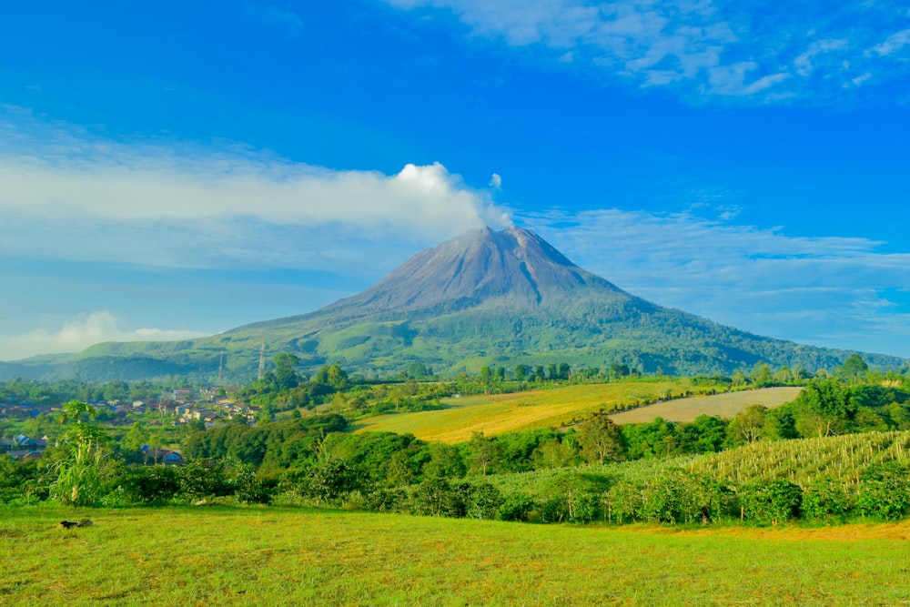Mayon Volcano with trees and grass below