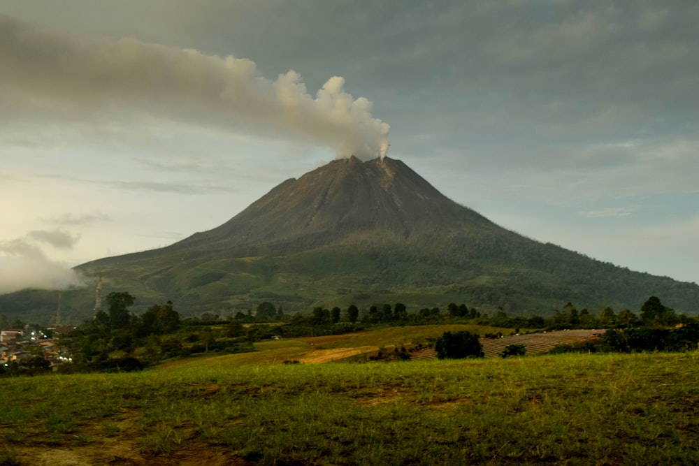 a large mountain with trees and grass below