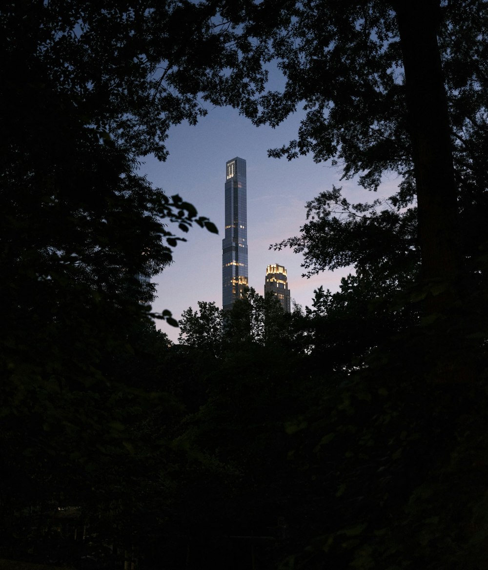 a tall building behind trees