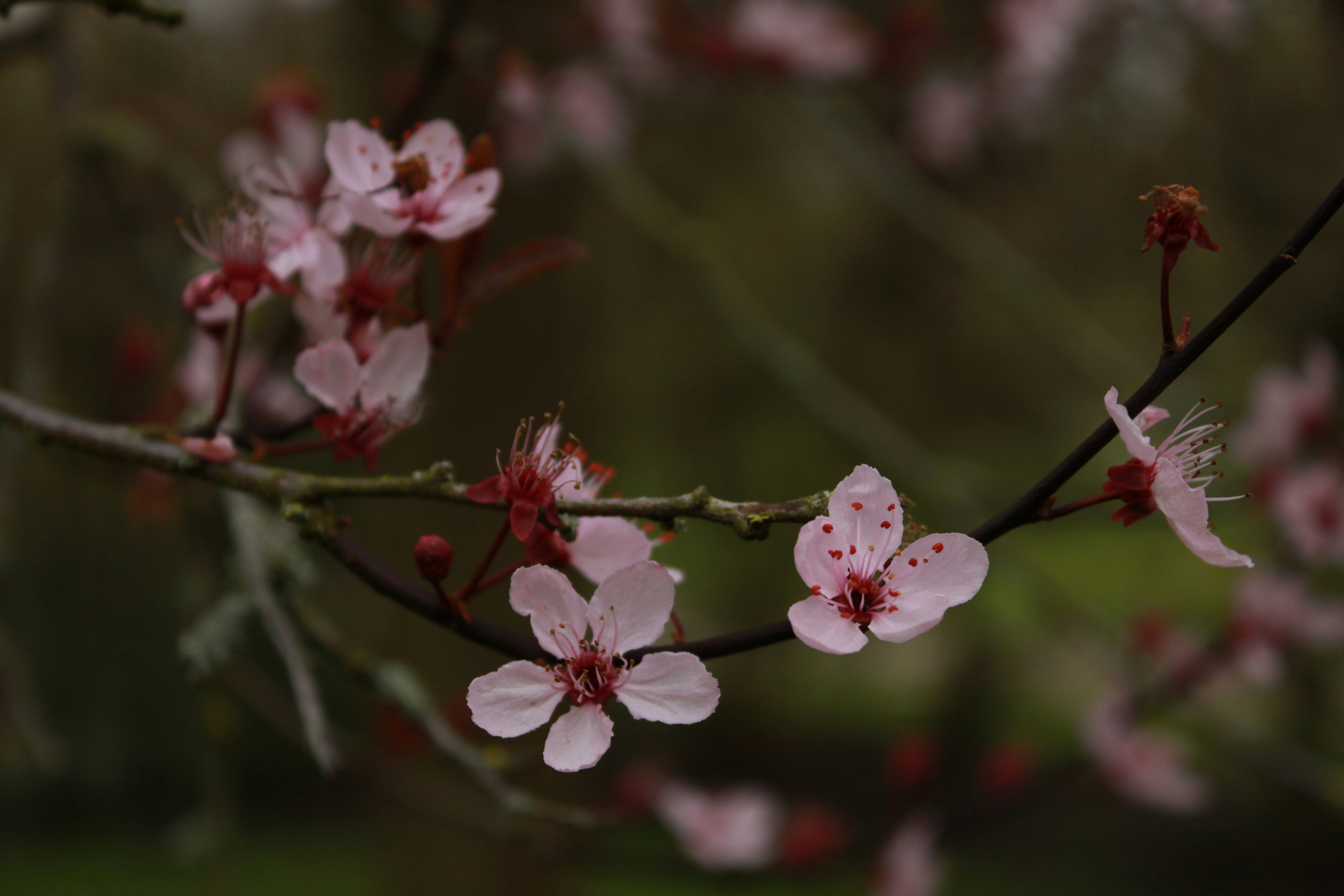 Photo by lilysphotography