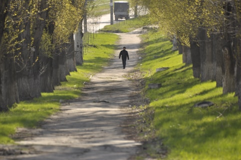 a person walking on a path