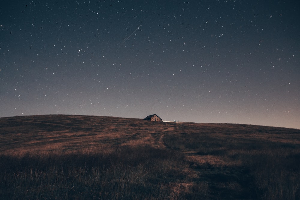 a house in a field