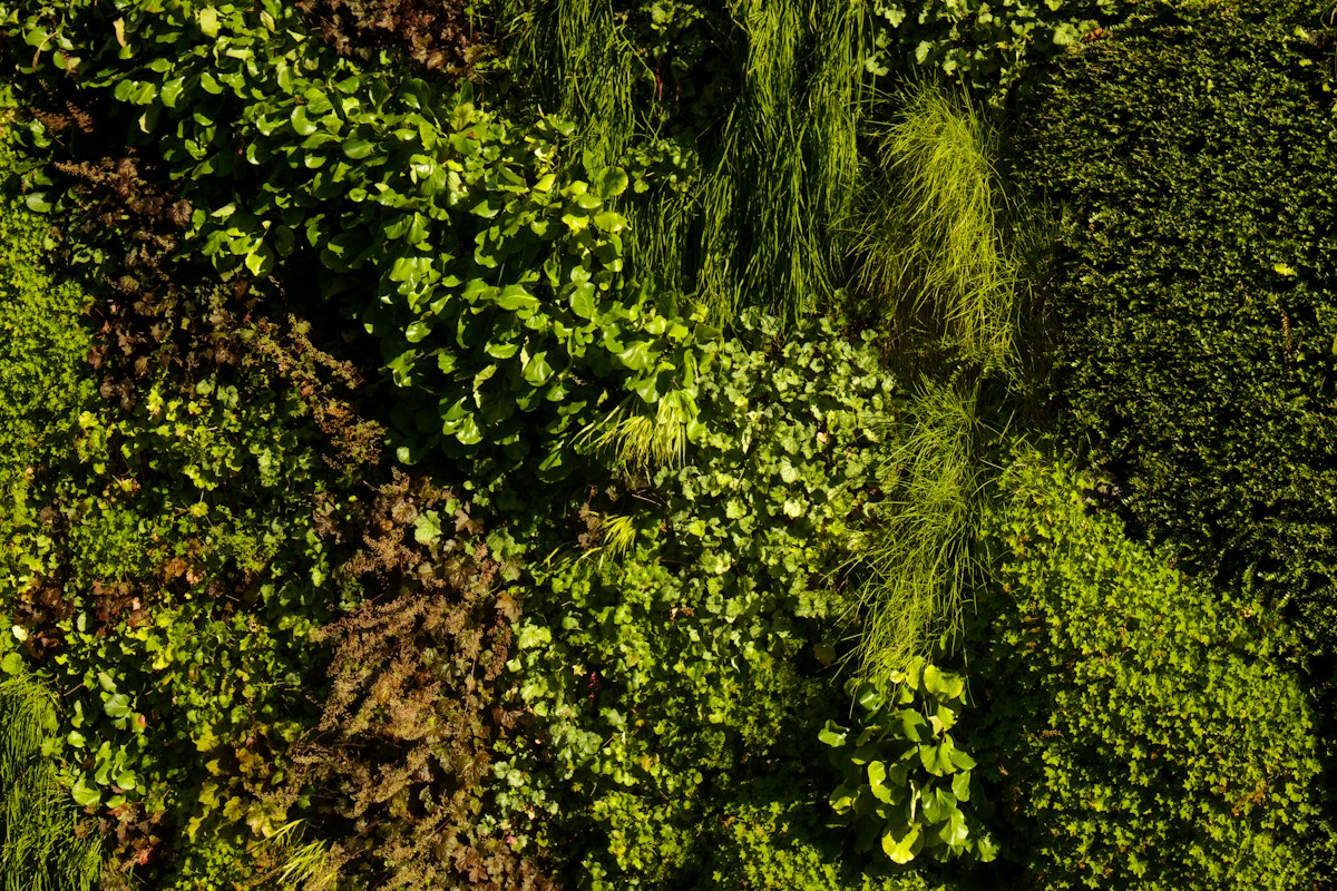 Jardim Vertical: Como Integrar um Painel Verde à Arquitetura de Alto Padrão