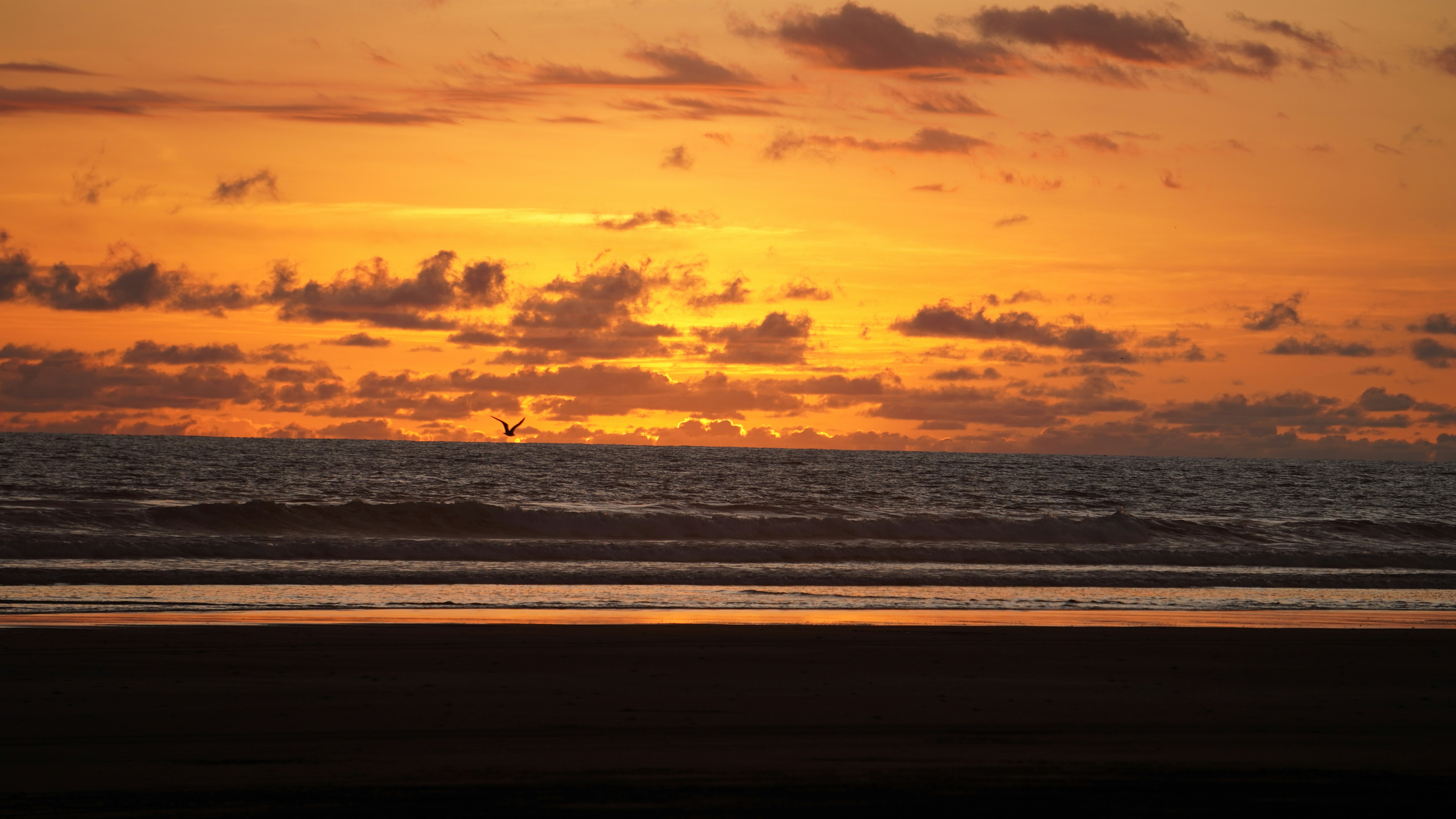 Photo by isabelleantonissen