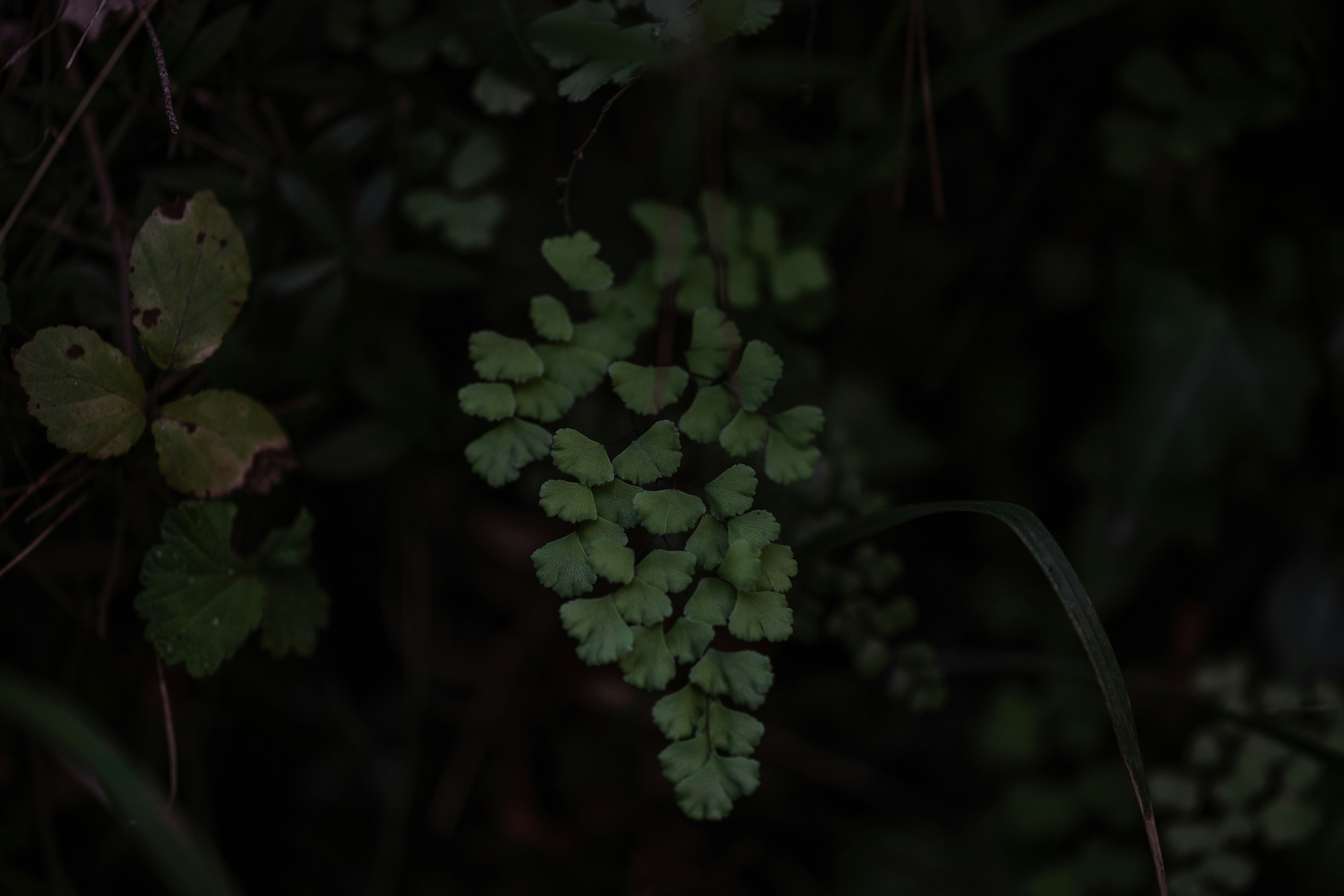 Photo by joseph_recca