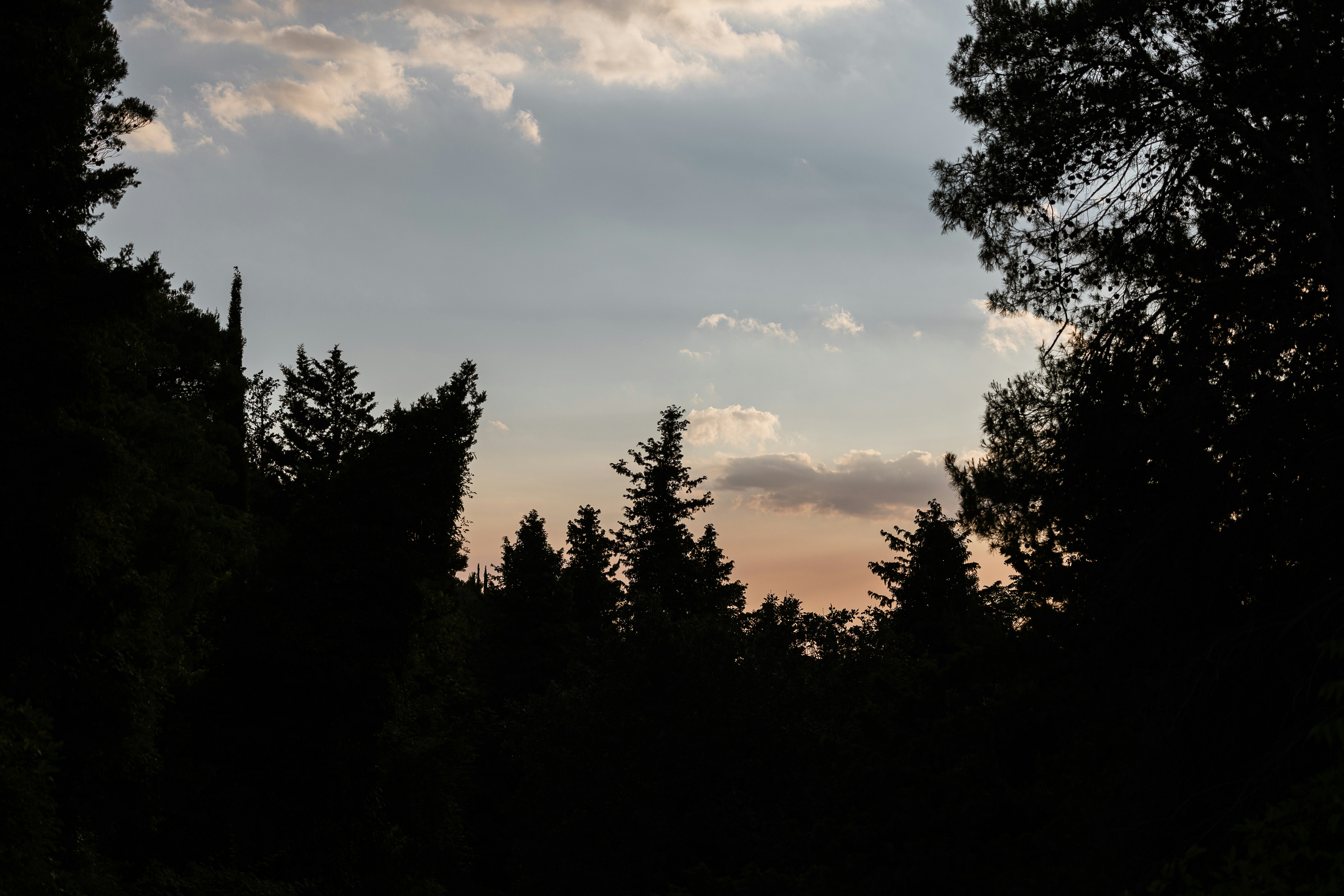 Photo by joseph_recca