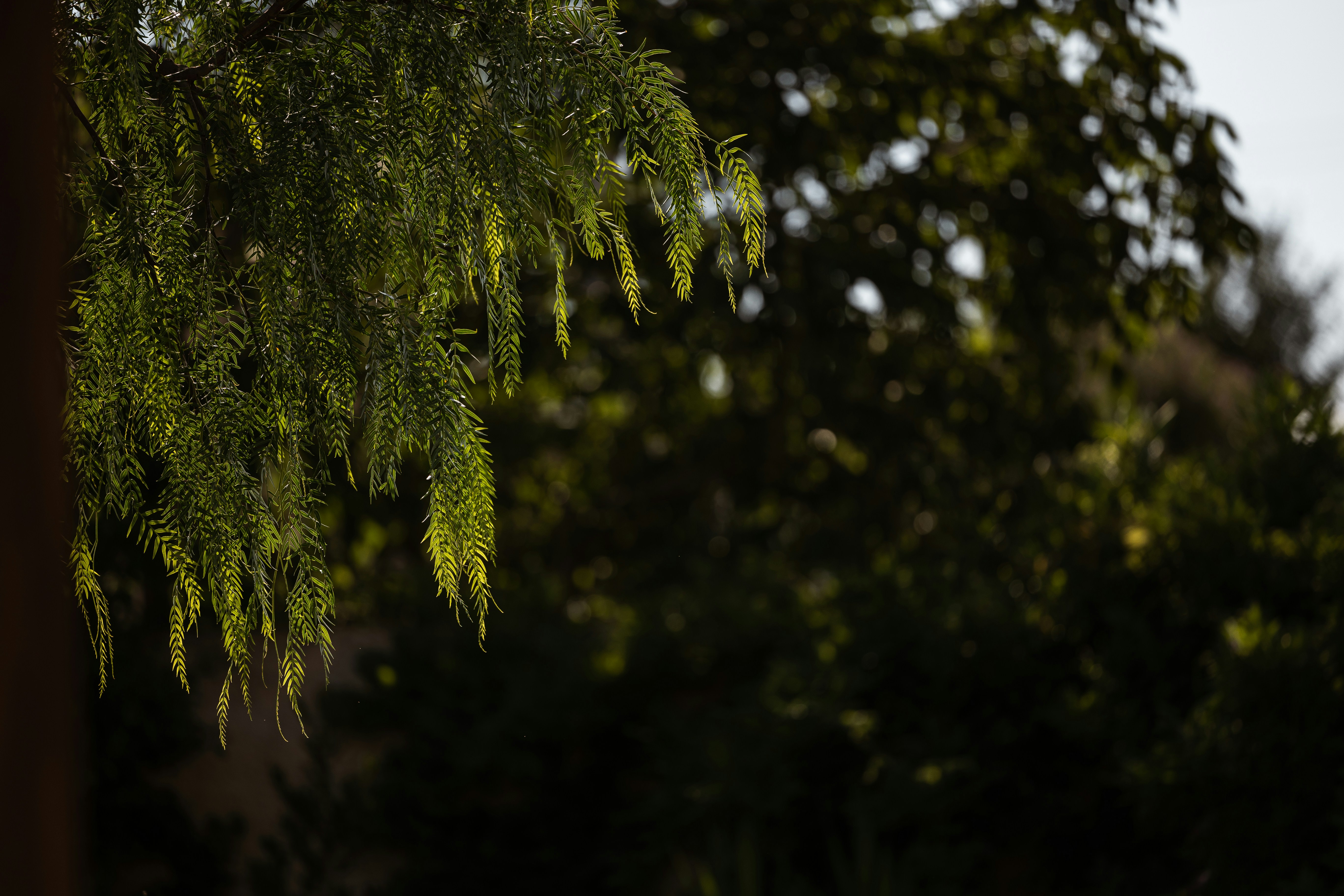 Photo by joseph_recca