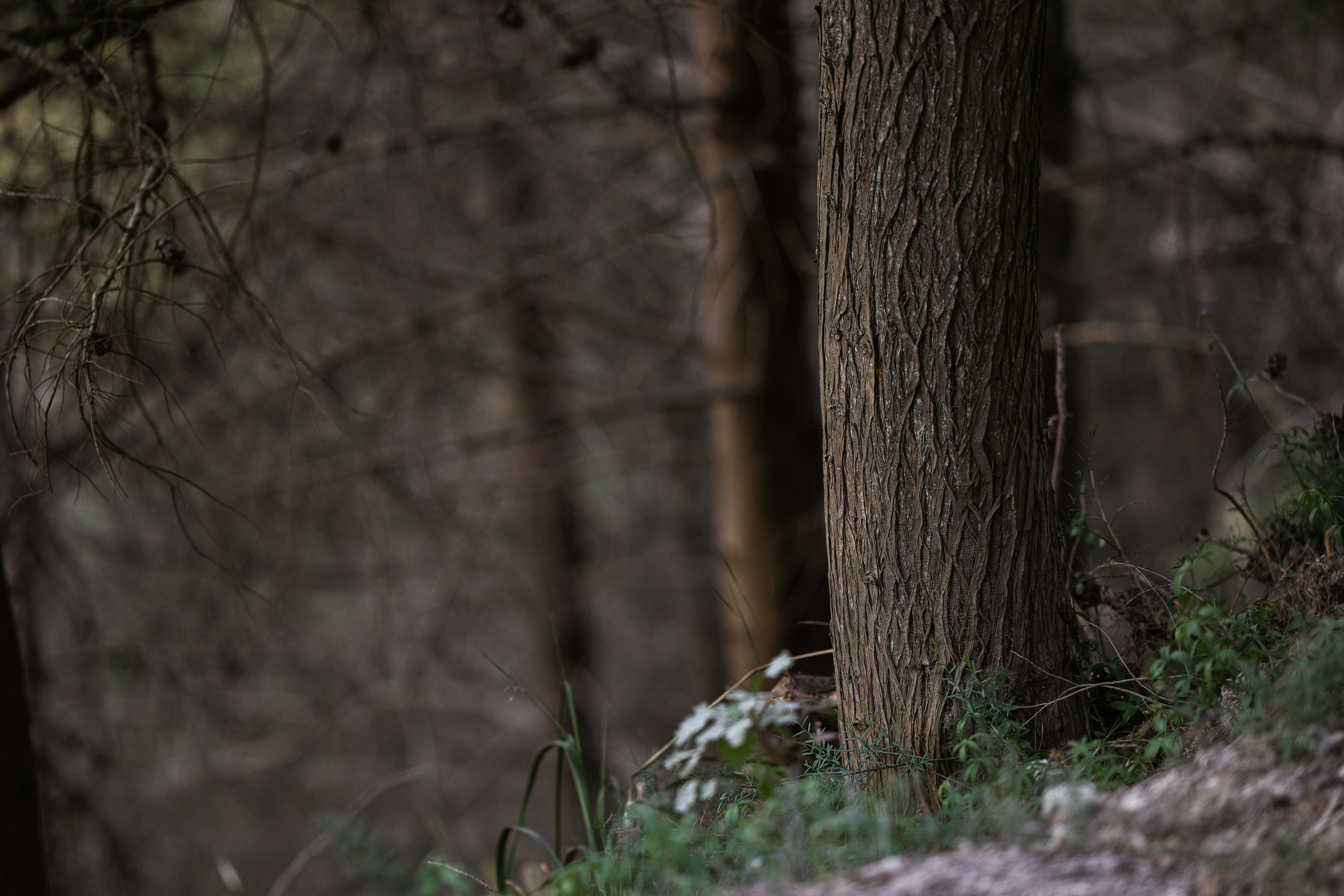 Photo by joseph_recca