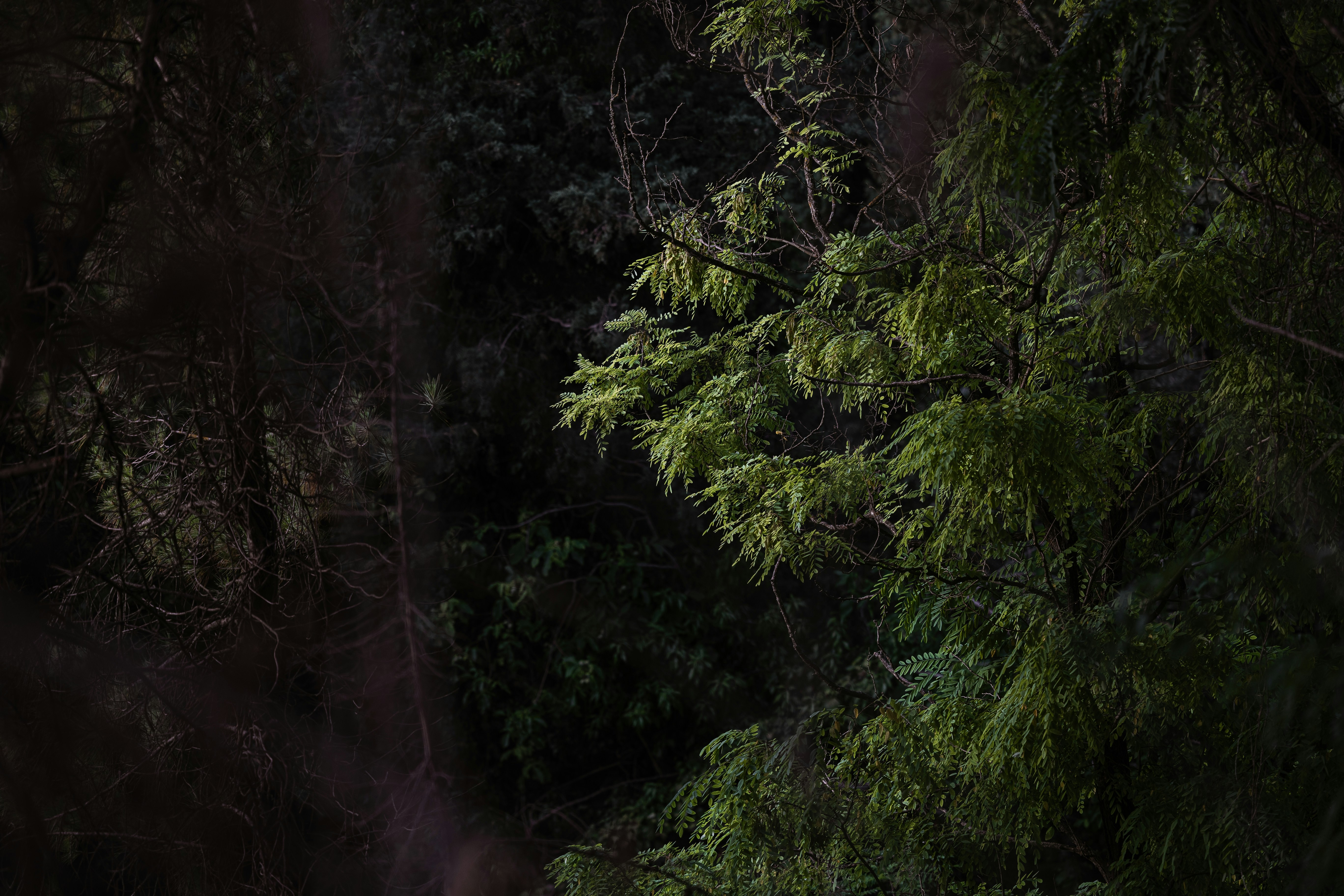 Photo by joseph_recca