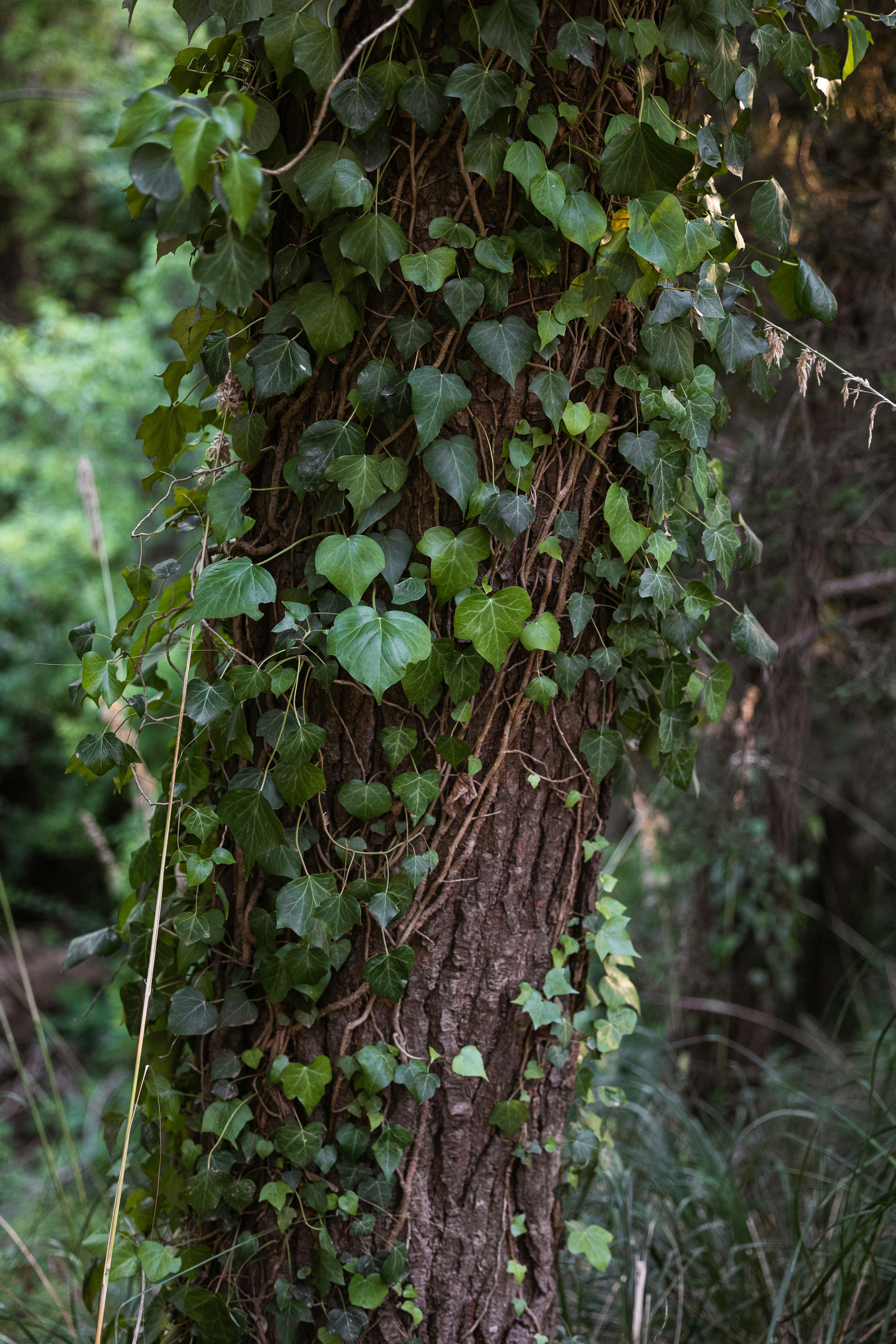 Photo by joseph_recca