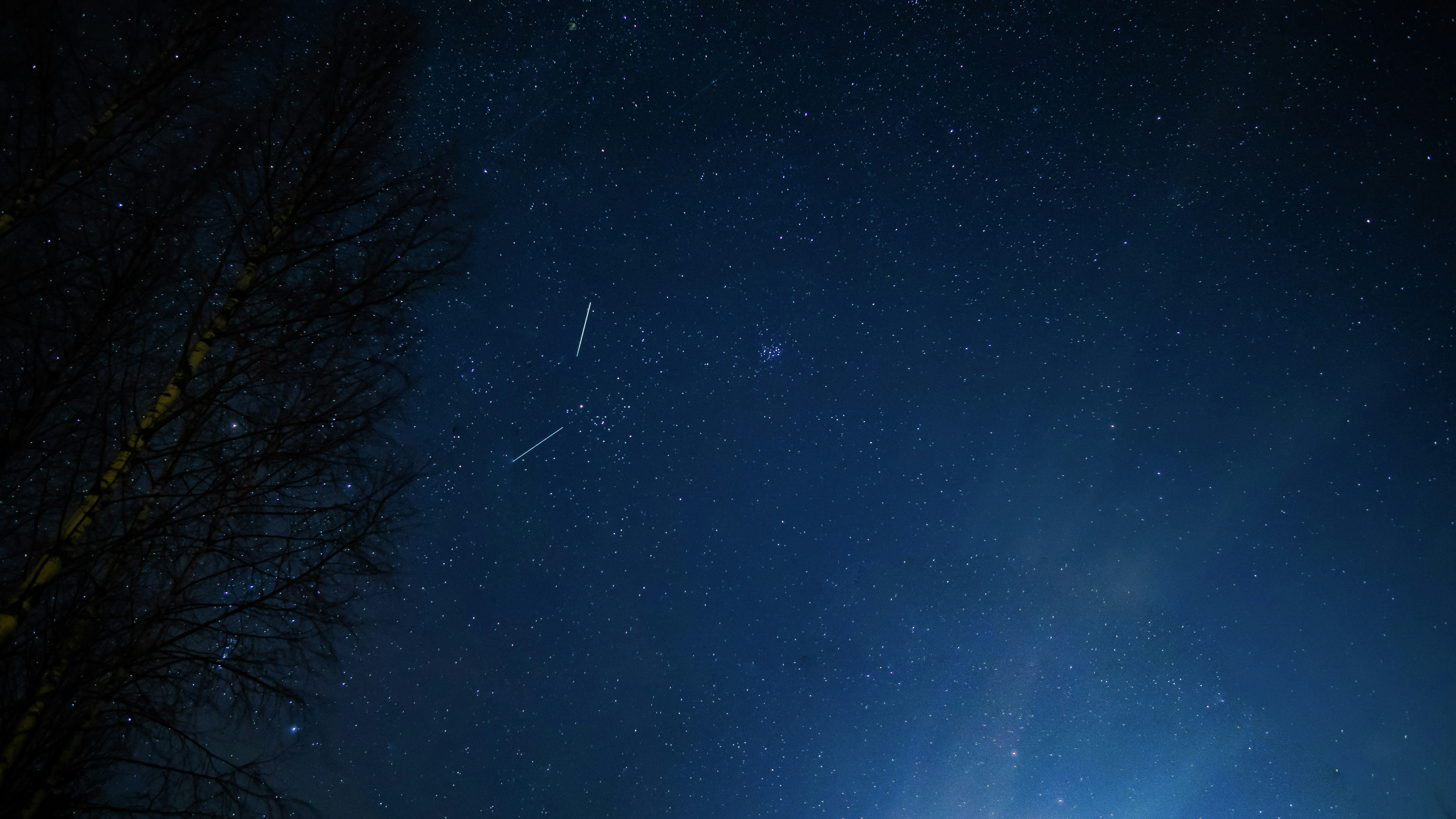 a starry night sky with a tree