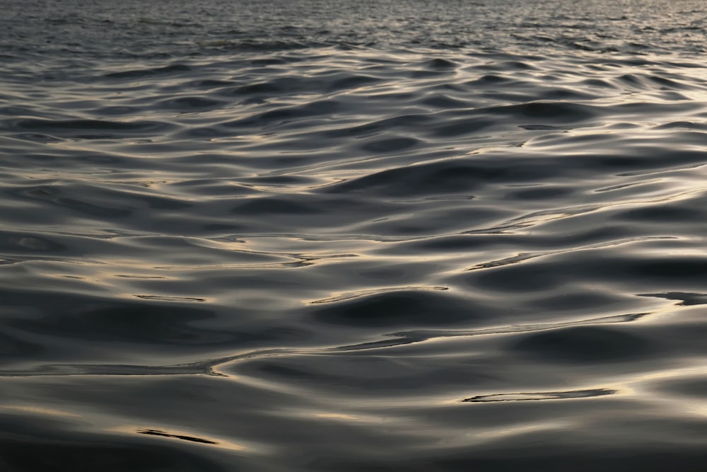 a body of water with ripples