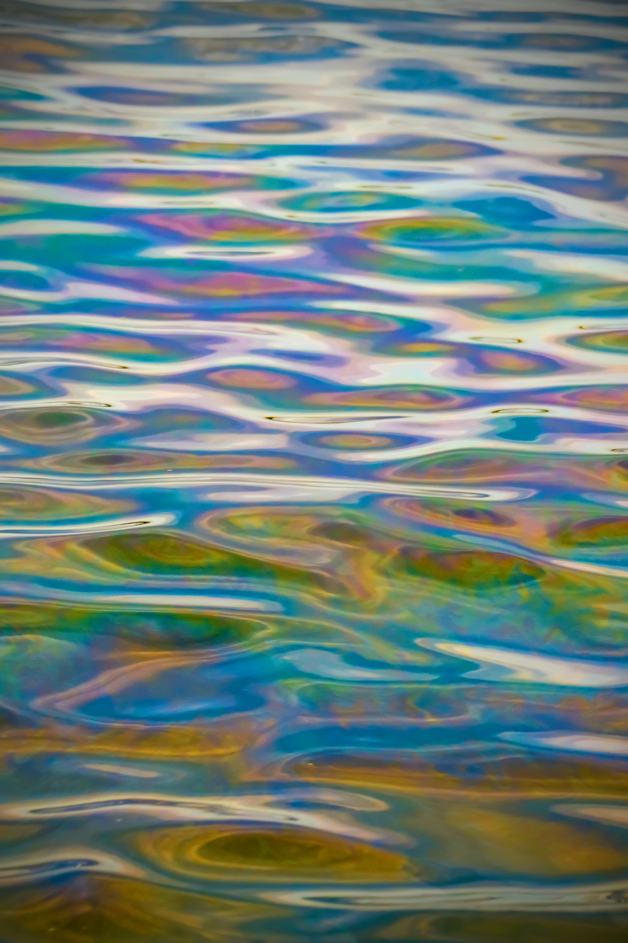 Photo by richardderuijter